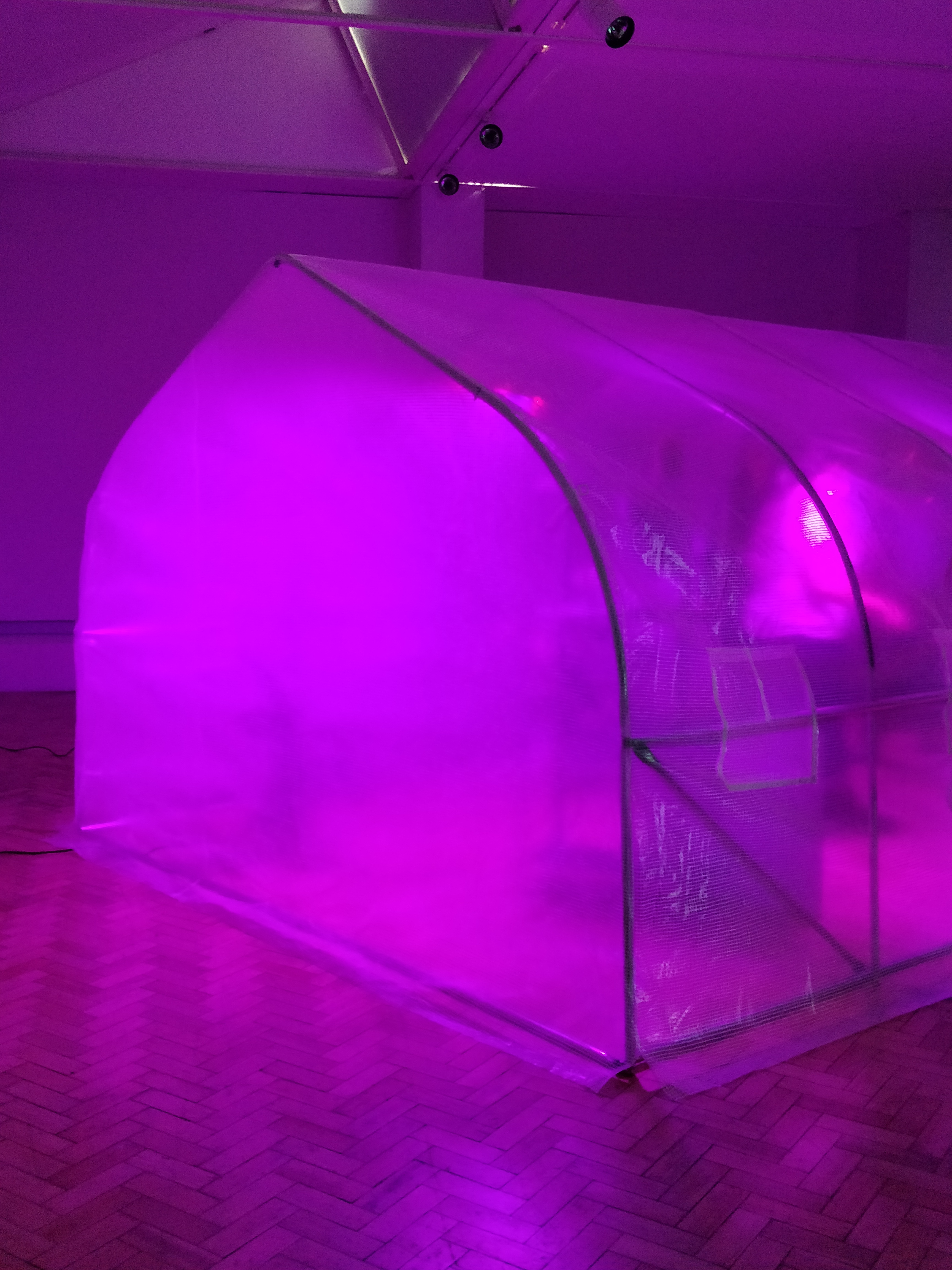 HMV_II (installation view), 2023