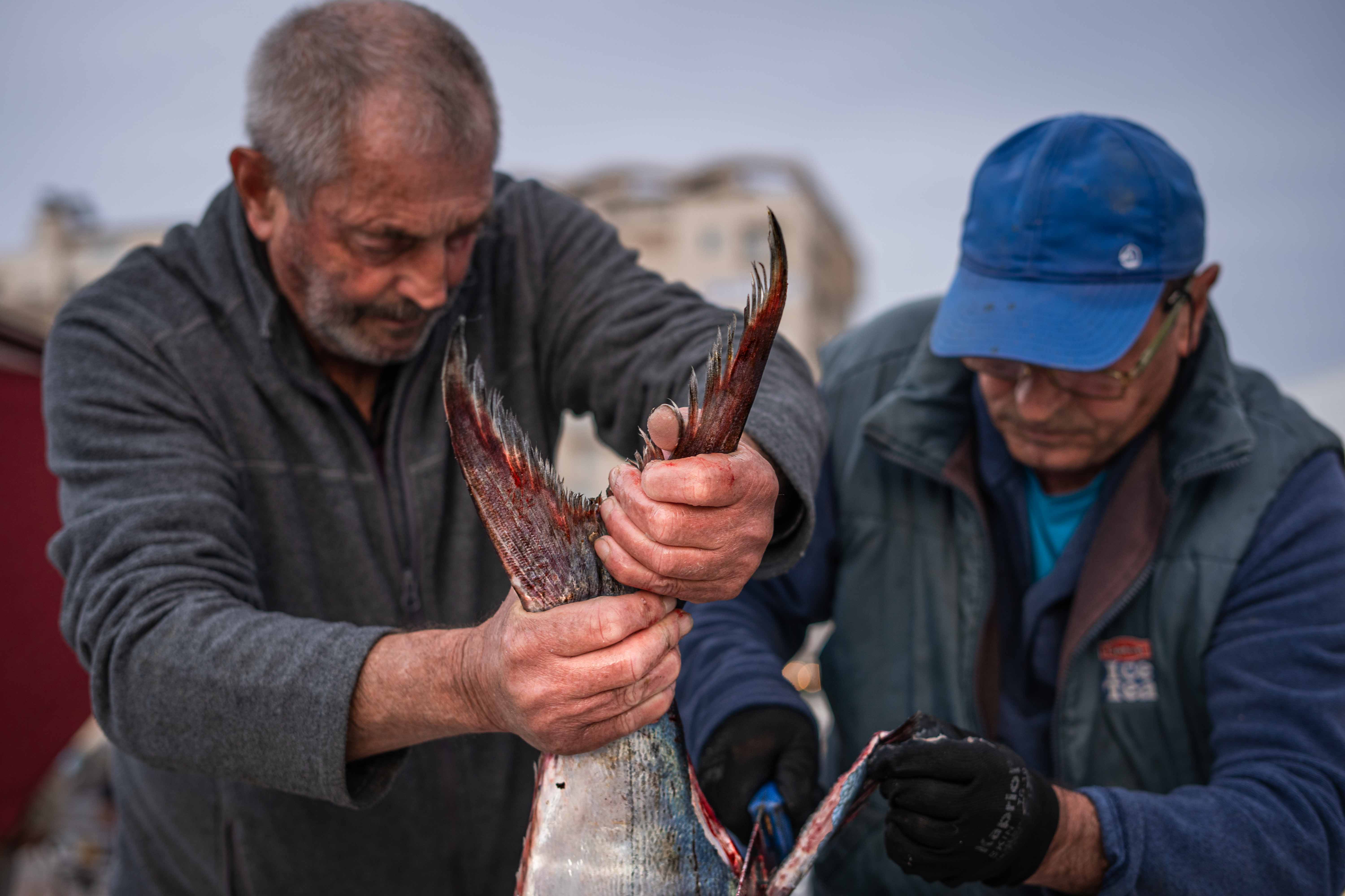 Ce jour-là, ils ont fait une grosse prise, un poisson de 12 kilos. Avant, la région se spécialisait dans la pêche à l’anchois et aux sardines. «&nbsp;C’était la belle période&nbsp;» raconte Rosa.