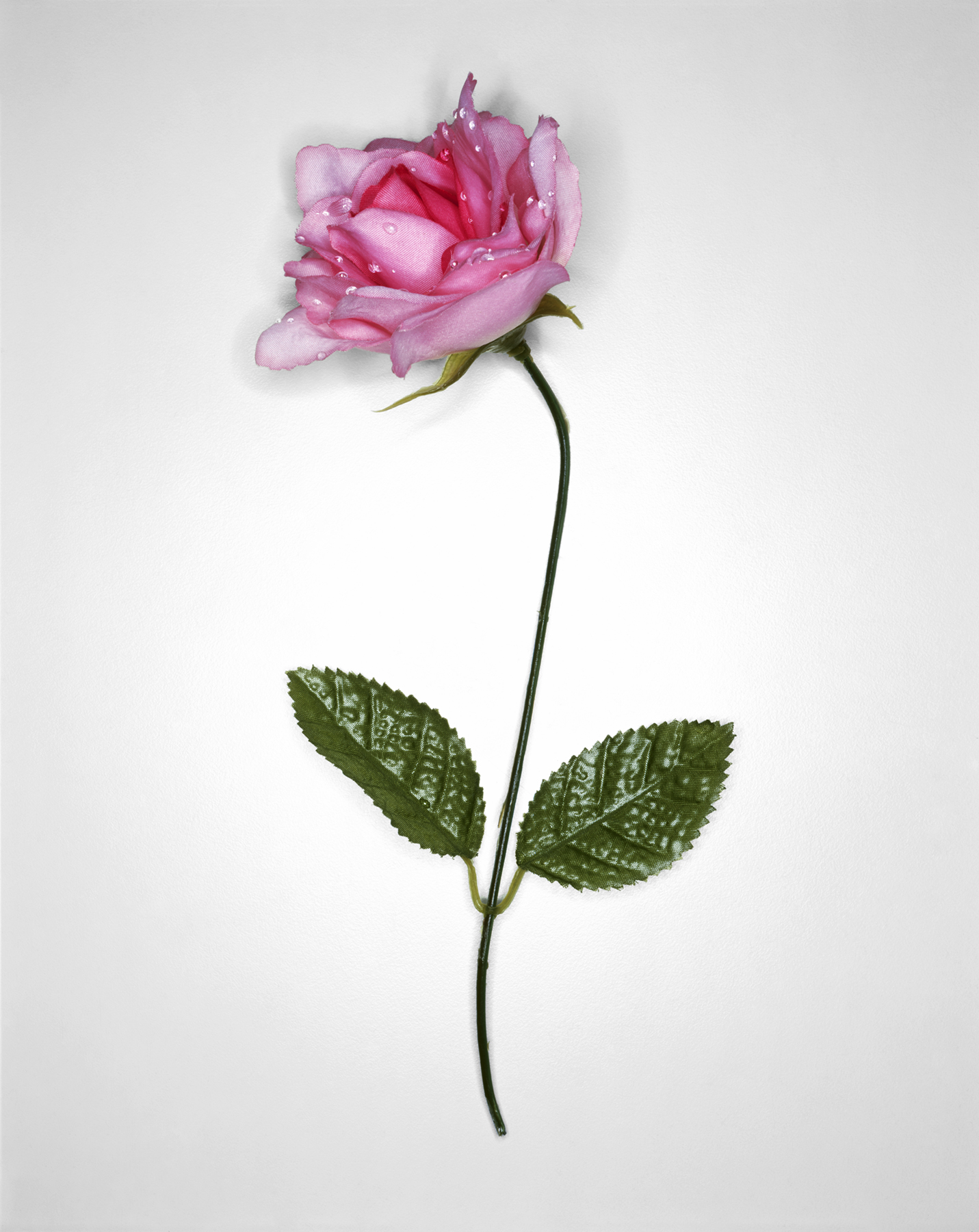 Plastic Flowers, 1999 _ 1/4