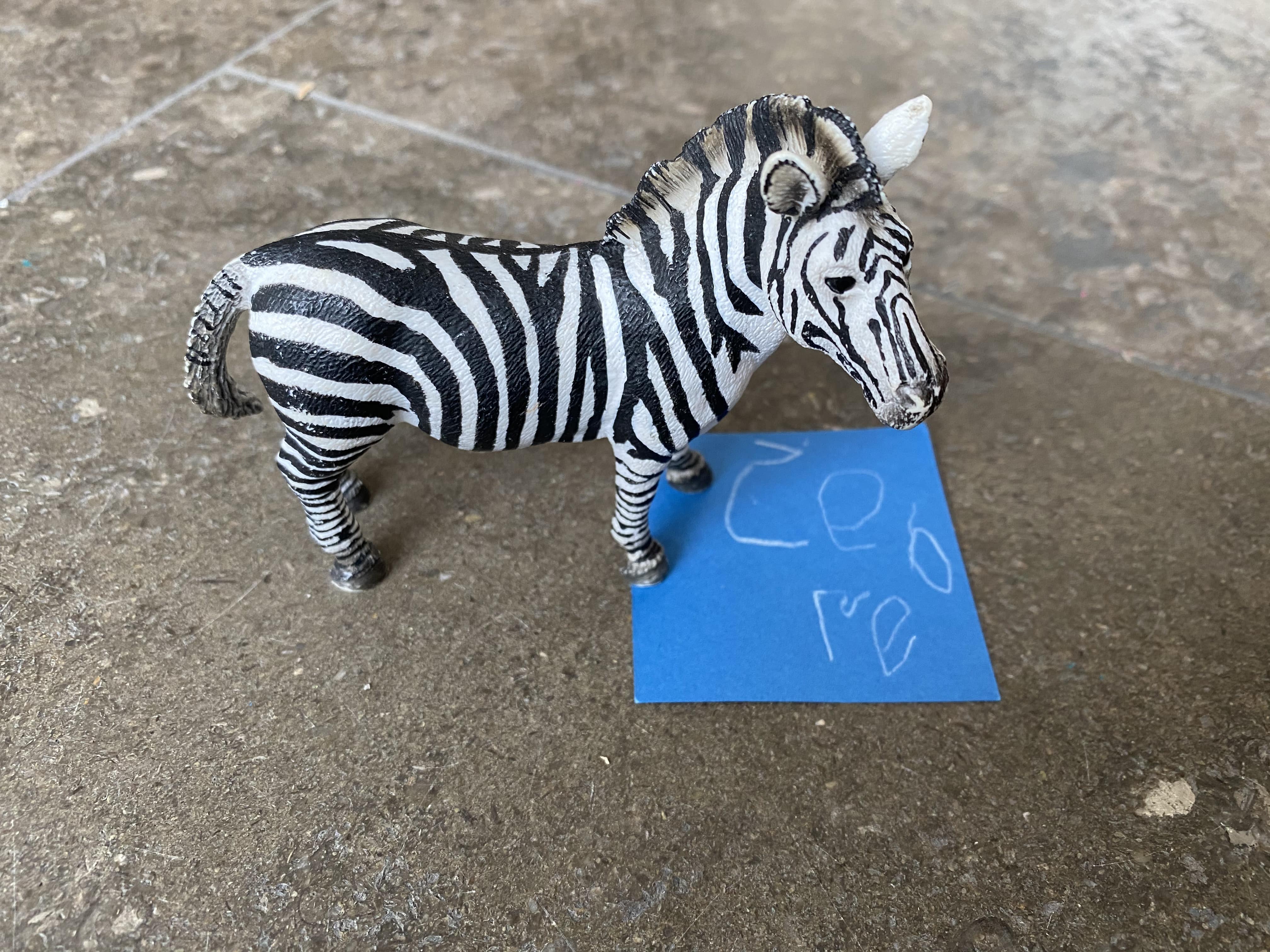 Z is for Zèbre. Ada.