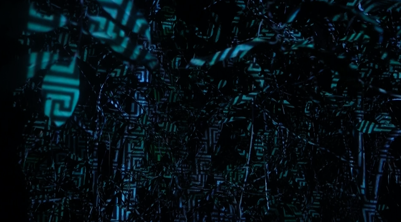 Video Mapping