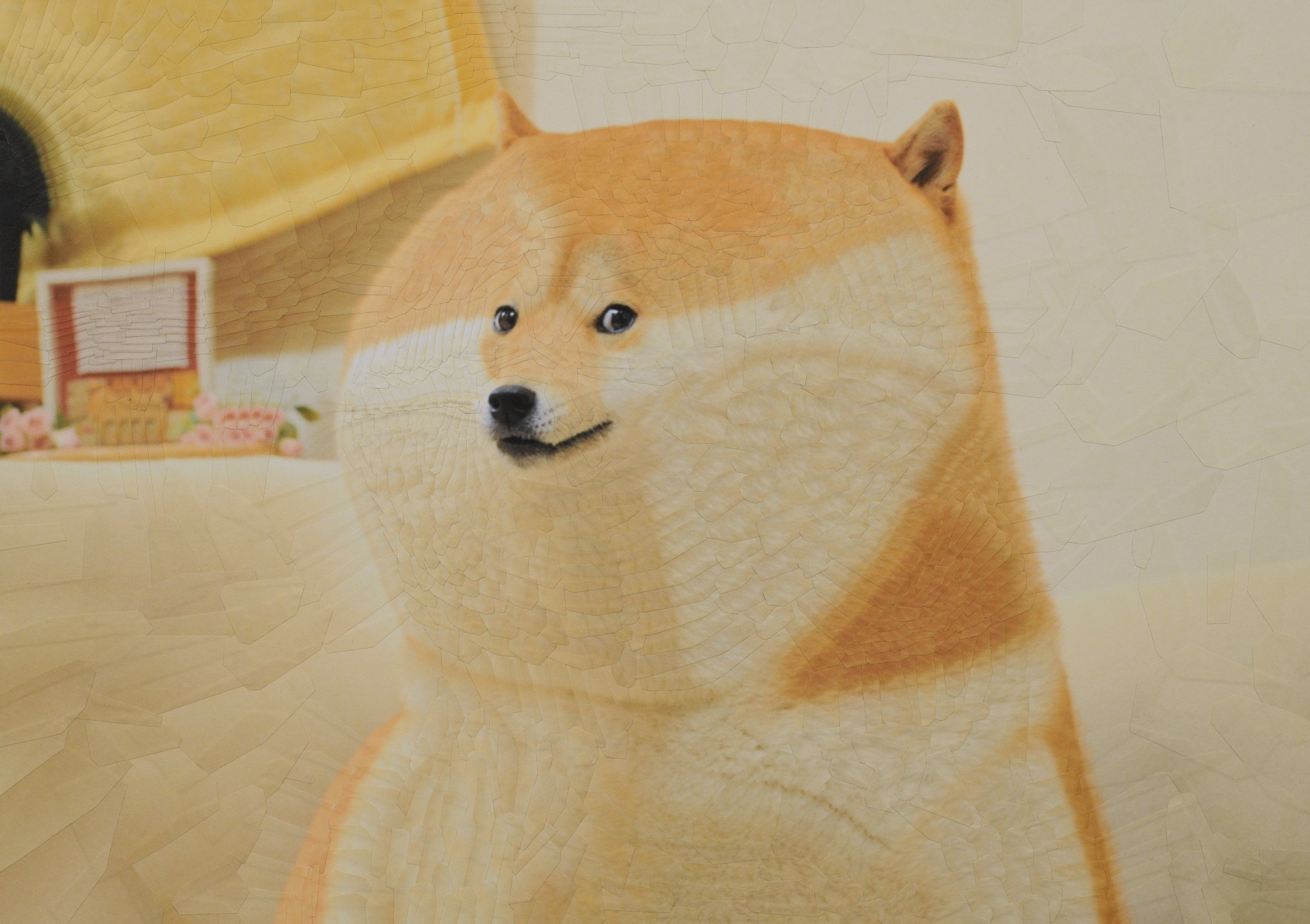  Kabosu the Doge for @ownthedoge, 2023, 16.5 x 11.6 inches