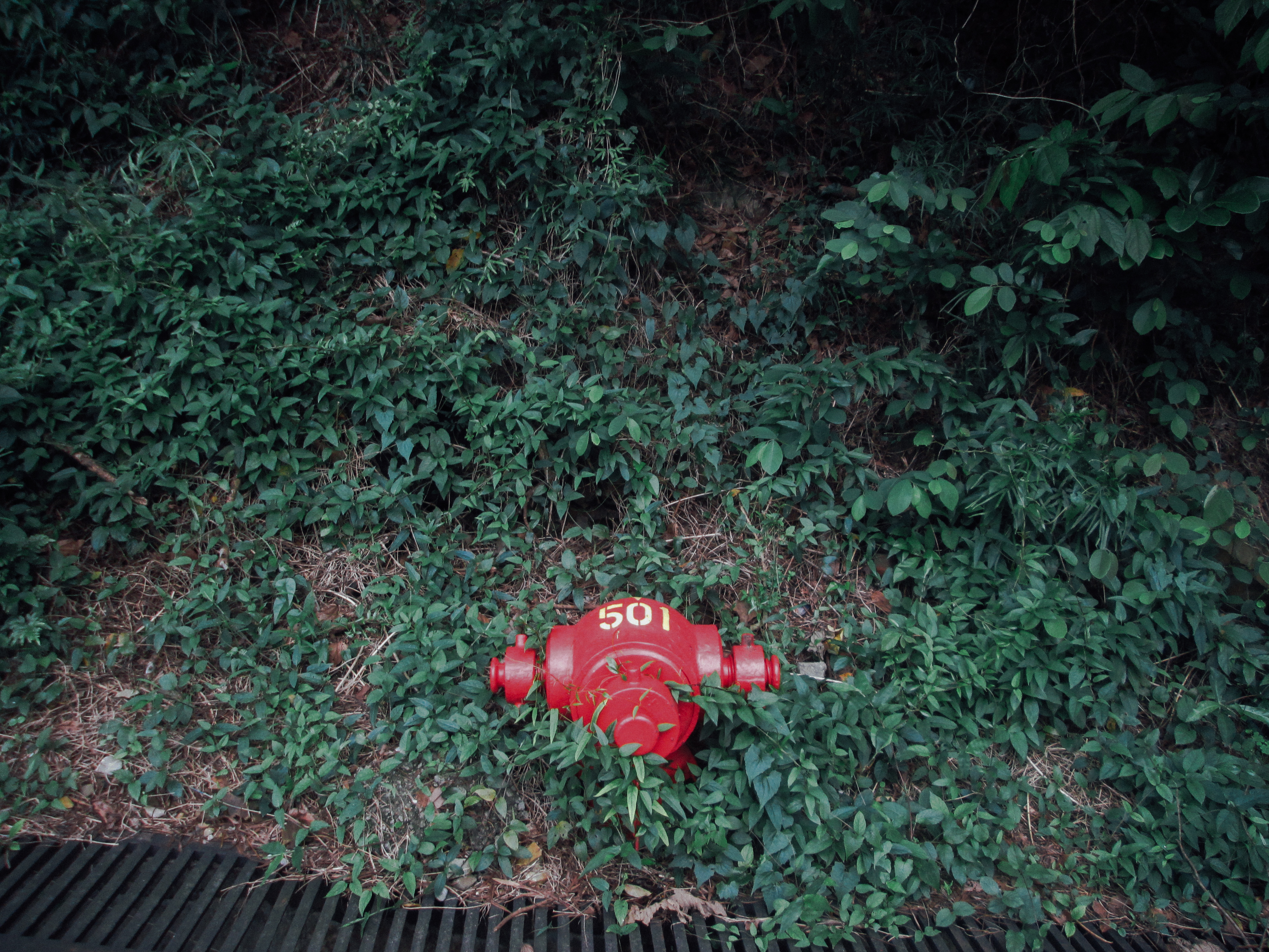 Rubbish (Never Should I Exist), 2016