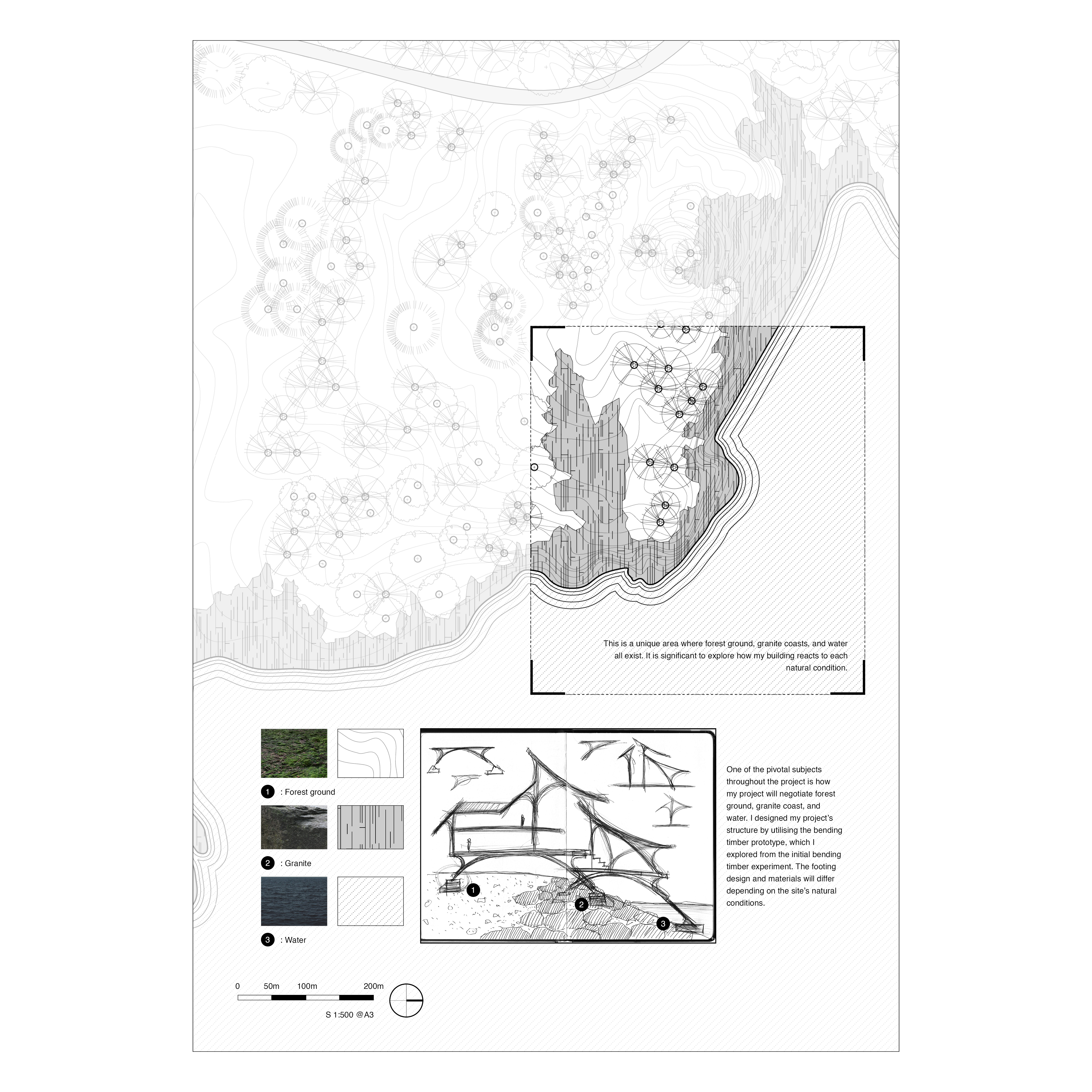 Negotiating Nature: Designing a Museum Across Forest, Granite, and Sea