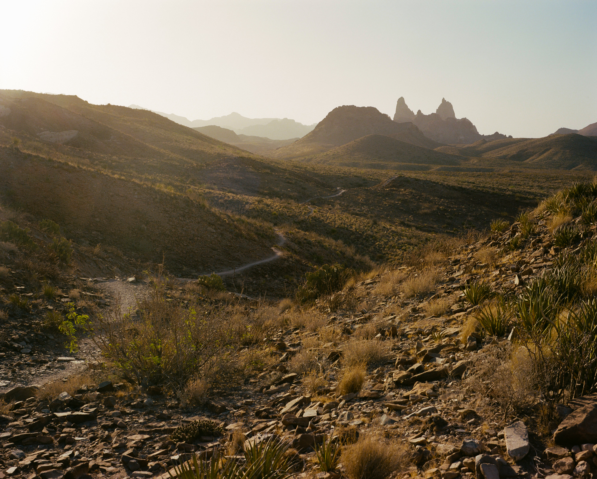 Mules Ears Trail Head, Big Bend, Texas