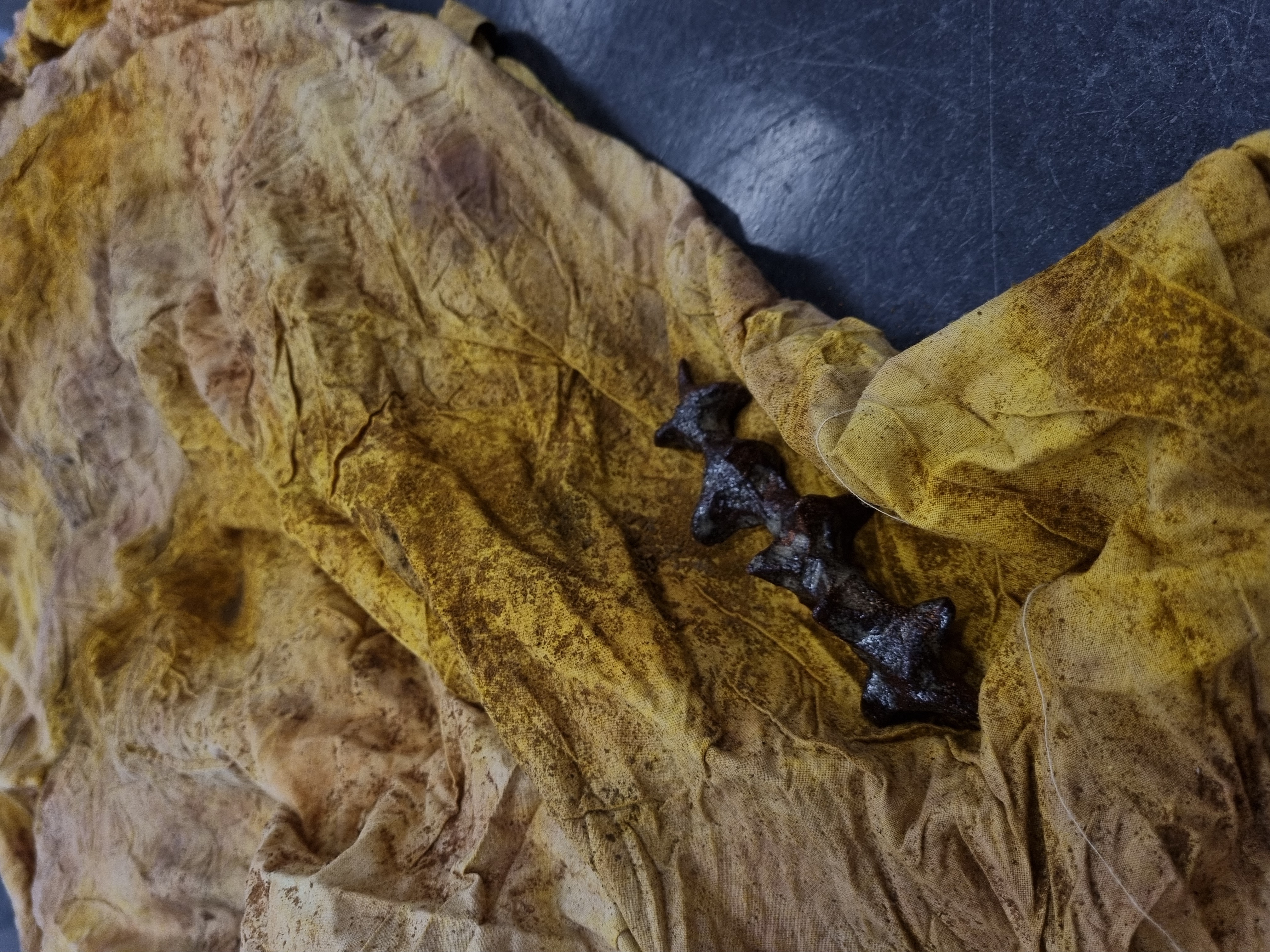 Stealing Plants, installation at "Did u miss me?" Kingston Uni Alumni Exhibition, foraged clay stoneware, wood ash glazes, Thames glaze, naturally dyed sheet, 2022