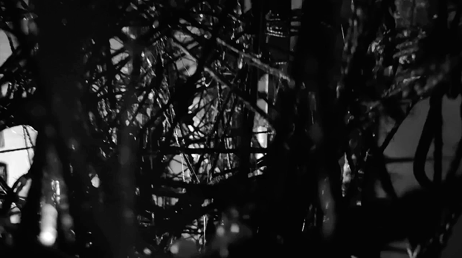 Obex  Ĭcis  2023 - 5 min