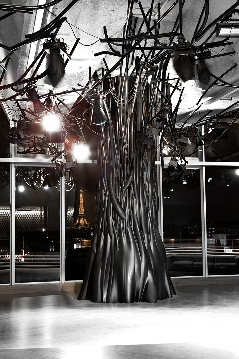 PHOTOGRAPHY RAF STUDIO OF ELECTRIC OF MATHIEU LEHANNEUR