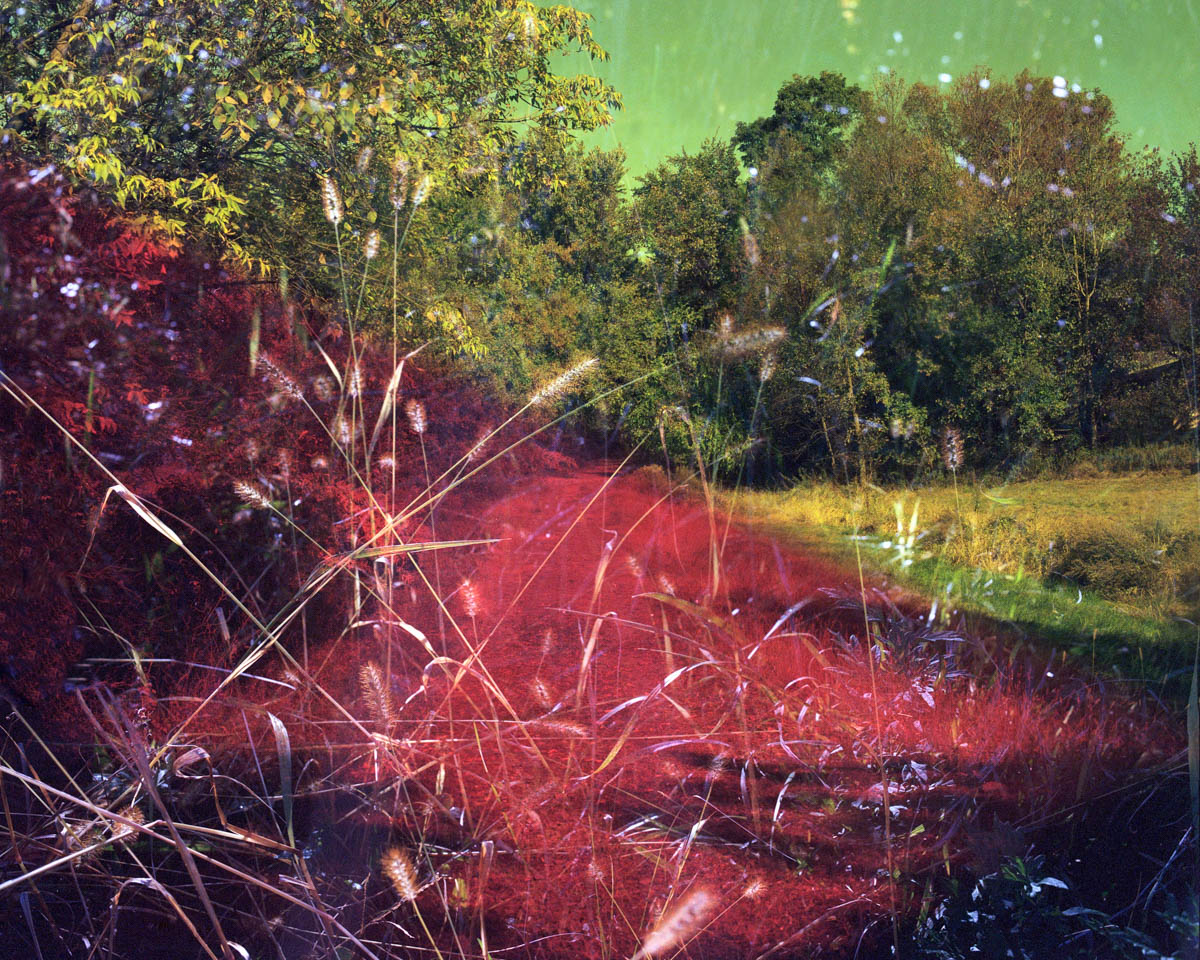 Untitled (Wayne), 2020, Archival Inkjet Print, Dimensions Variable