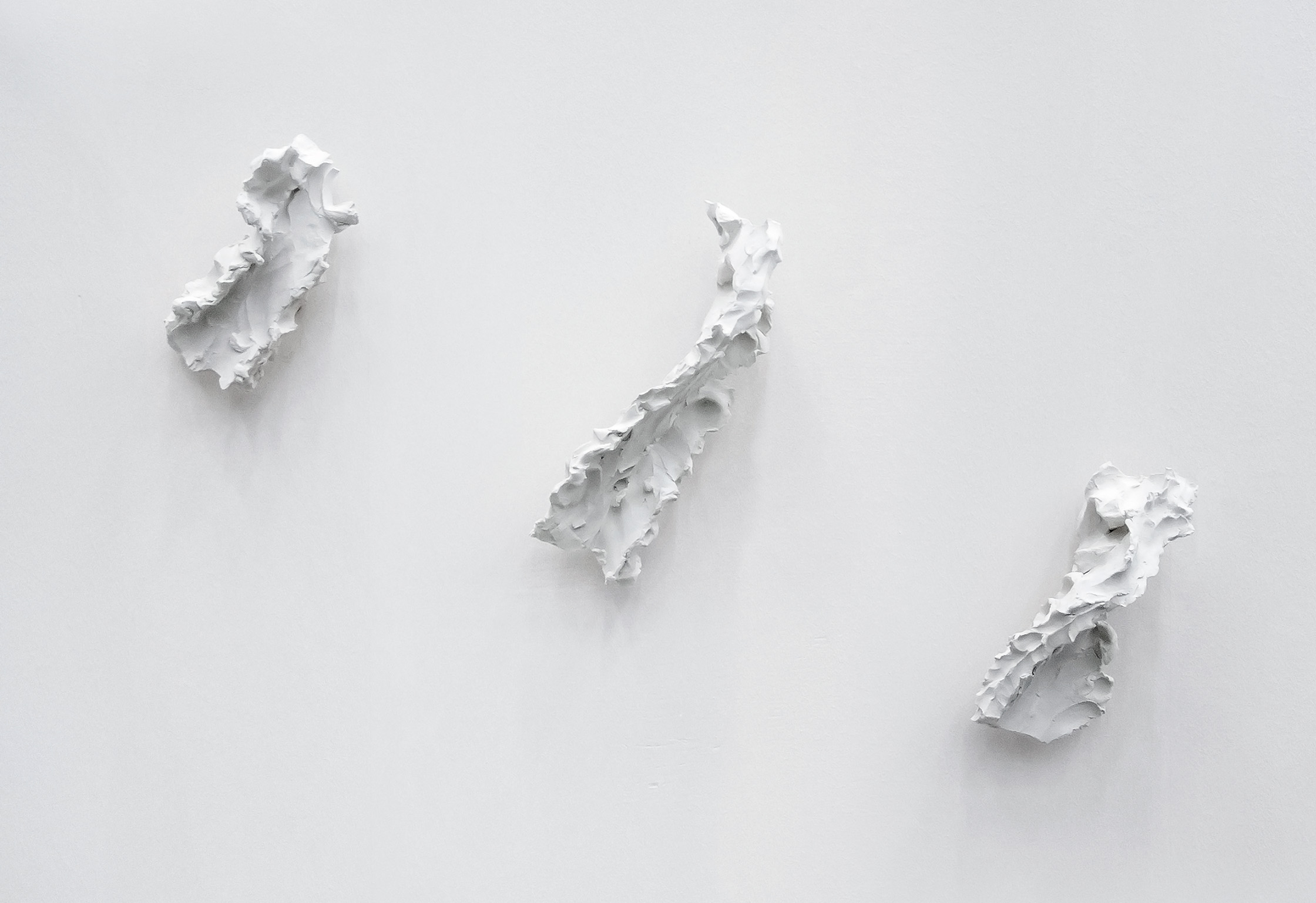 Outflow decayings [orig. Uitvloeiverwordselen](2012—) 2017