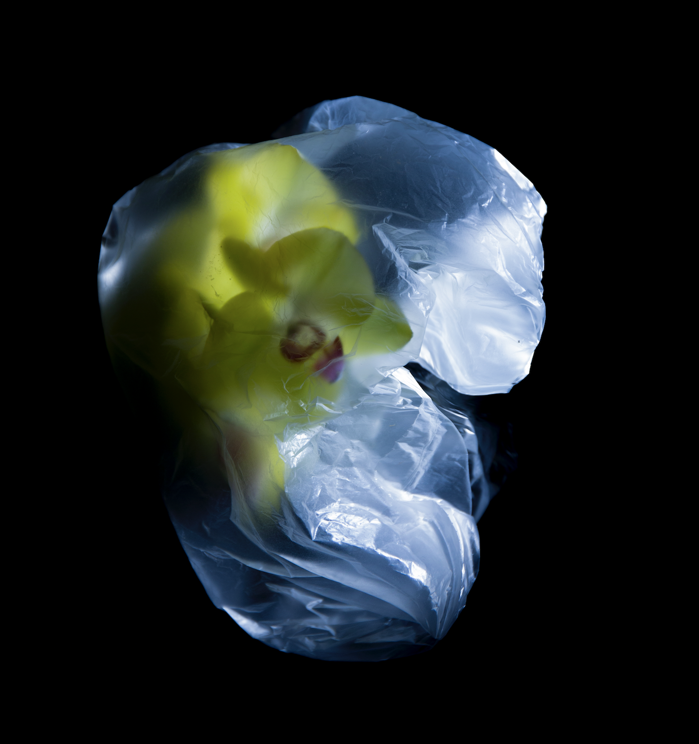 Research Scent series [2022] documented by Constantine Virtanen