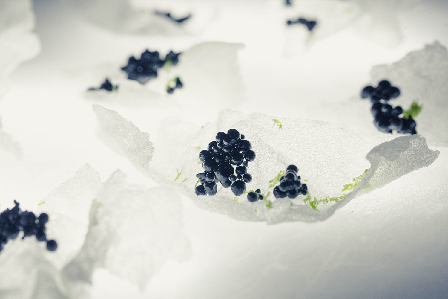 #Limitless Co-existence9/13