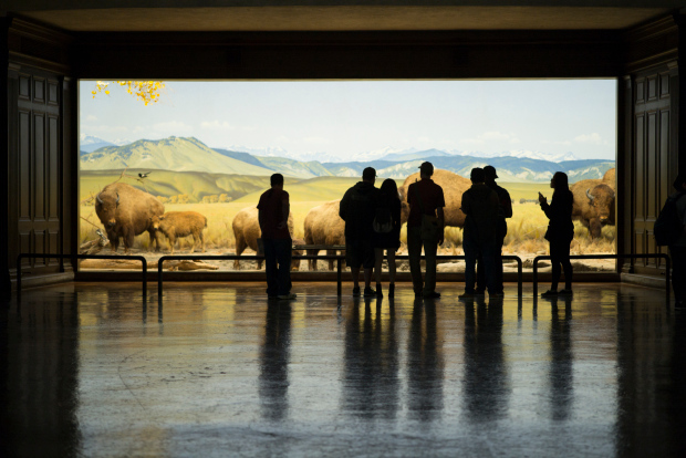 LA County Natural History Museum