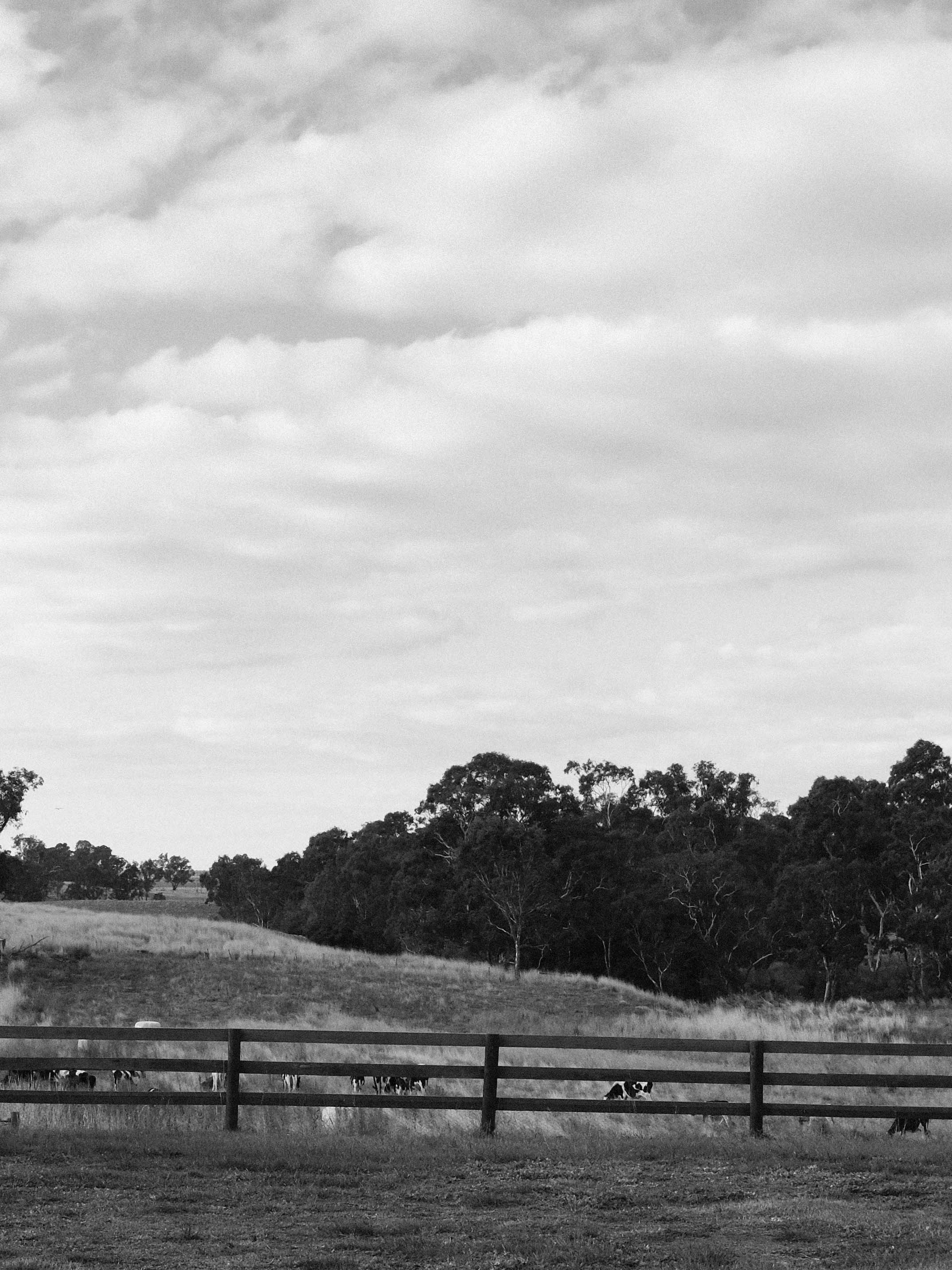 Tallarook Cottage - In Construction
