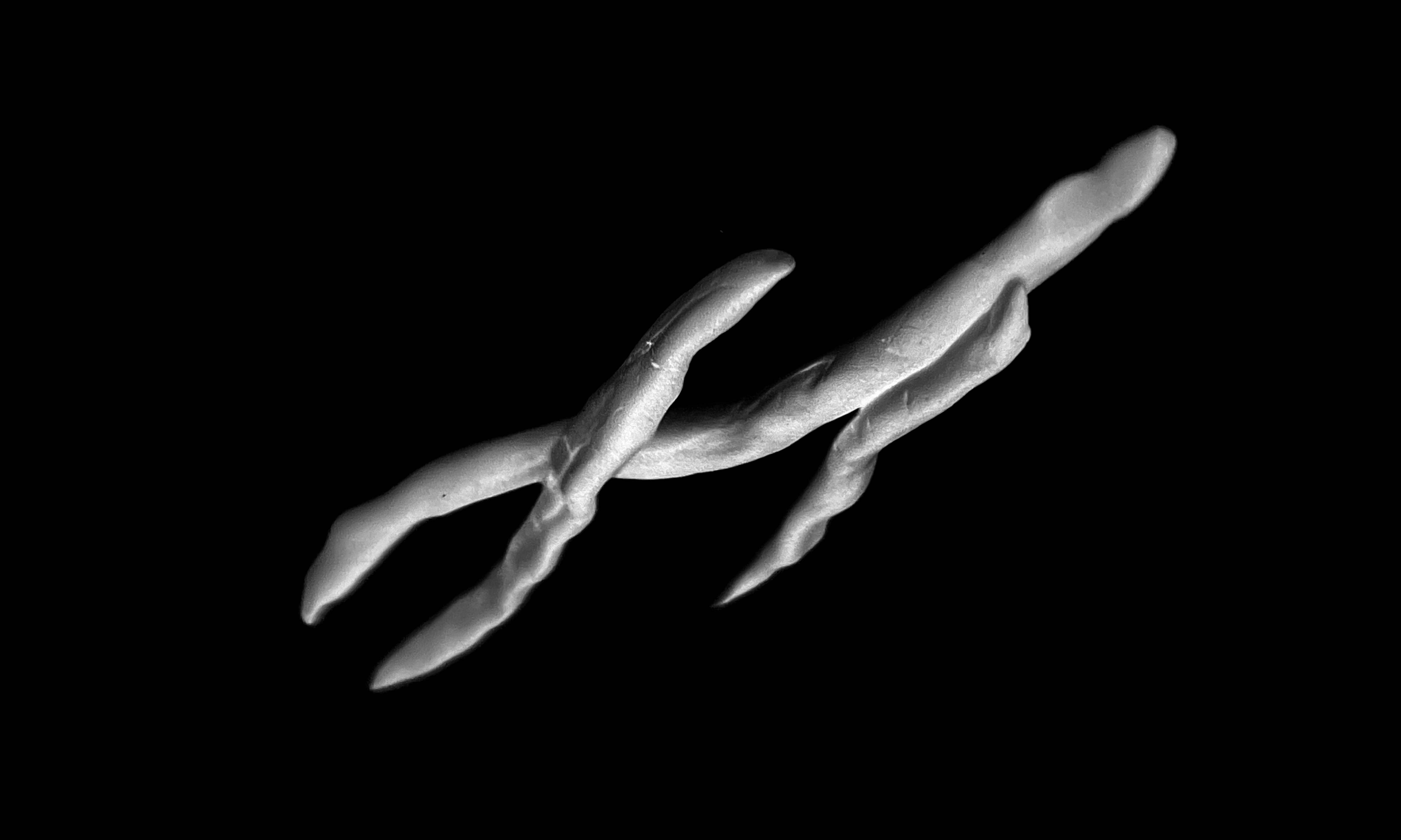 SEPARATA INSEPARÁVEL DO MUNDO, Museu da FBAUP 2024