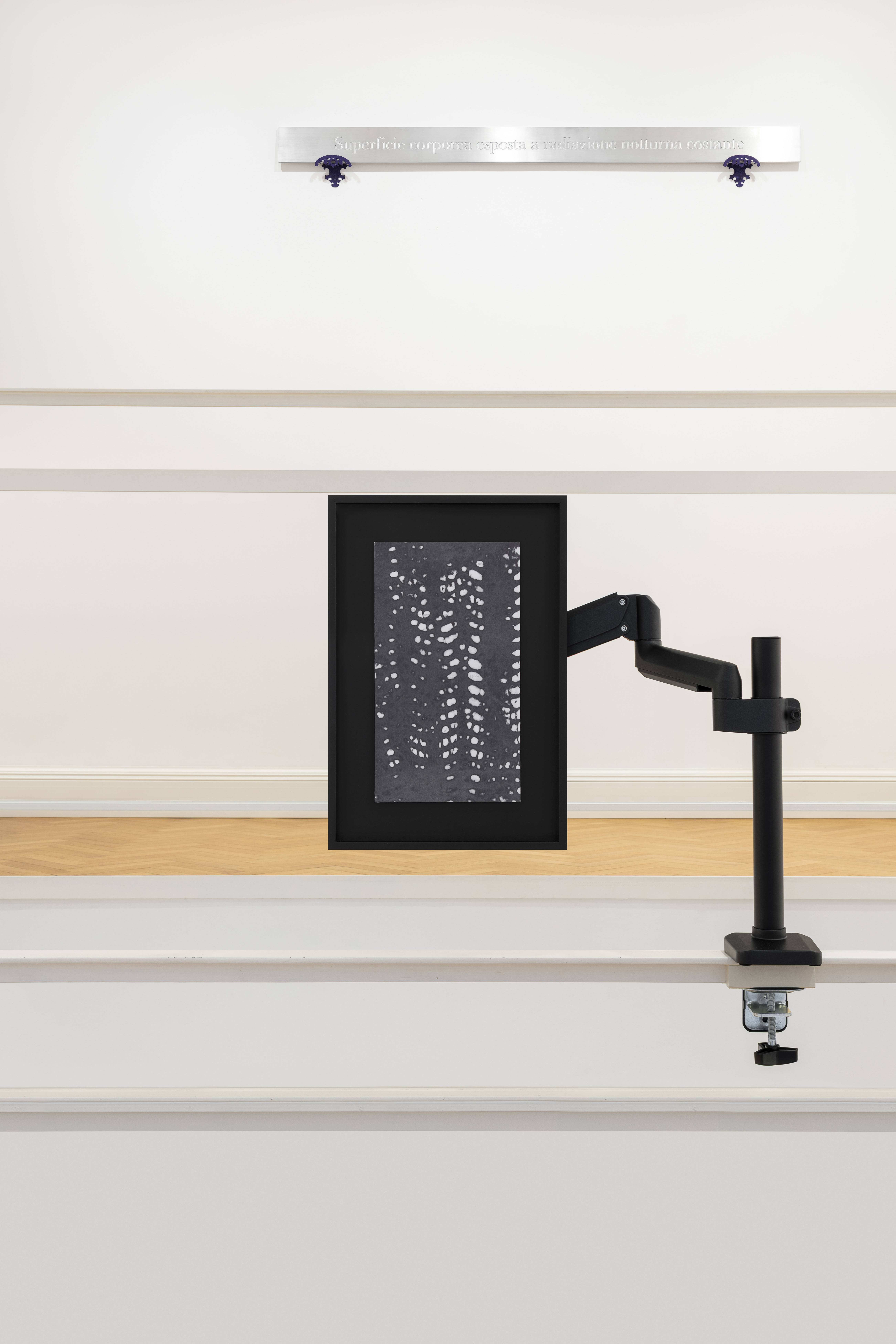 Installation view Group Show Transizioni, works by Camilla Gurgone ph. Tiziano Ercoli