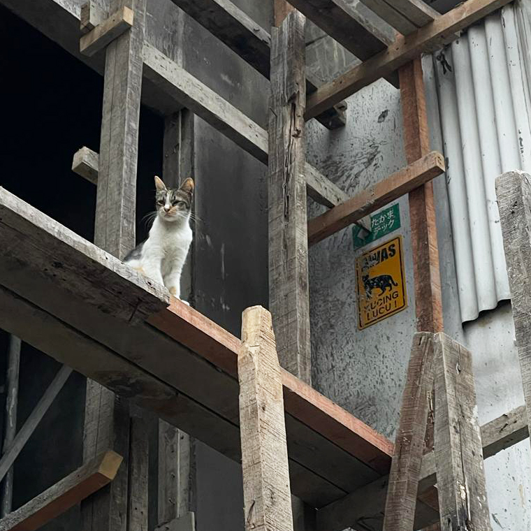 Instagram @middlepractice