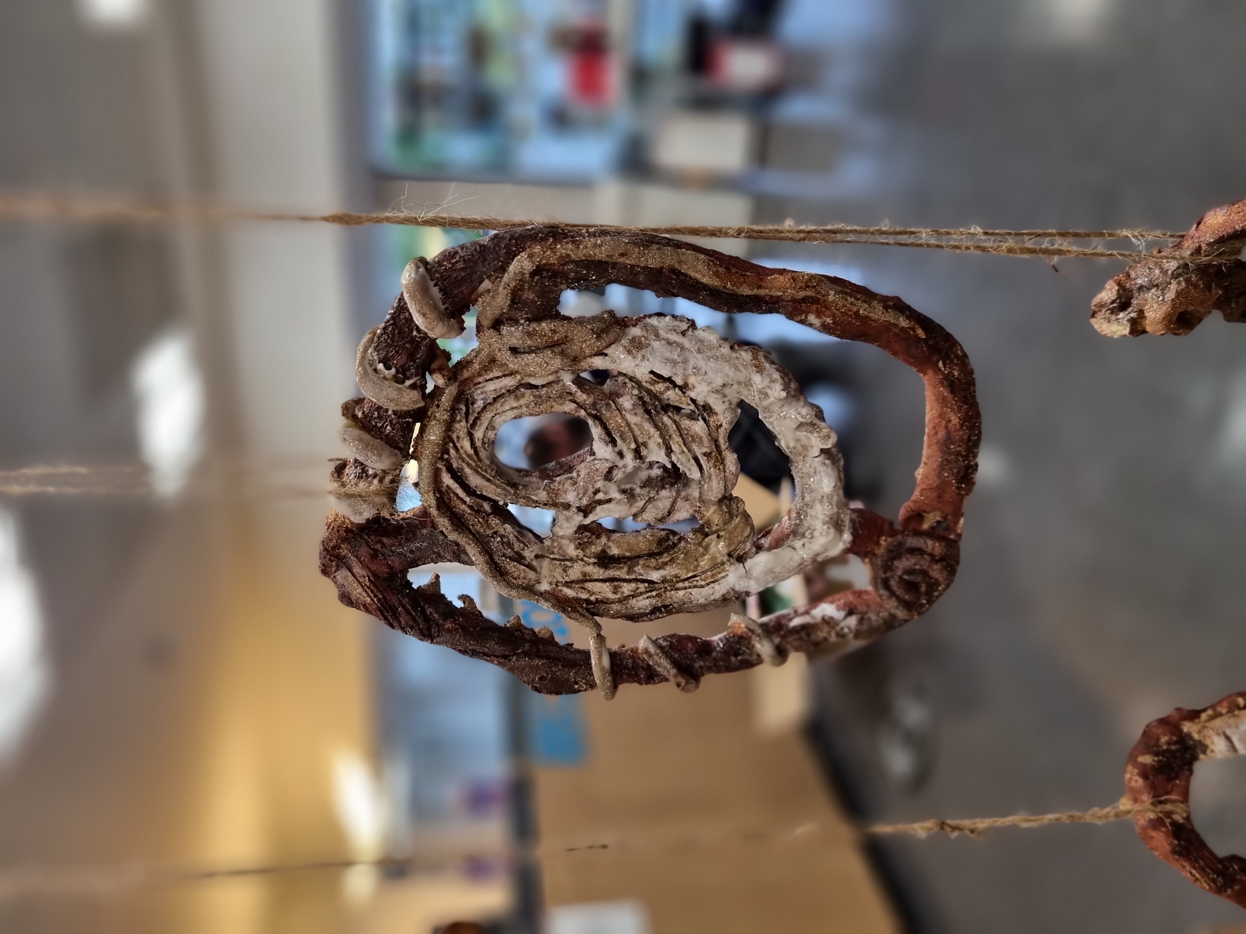 Stealing Plants, installation at "Did u miss me?" Kingston Uni Alumni Exhibition, foraged clay stoneware, wood ash glazes, Thames glaze, 2022