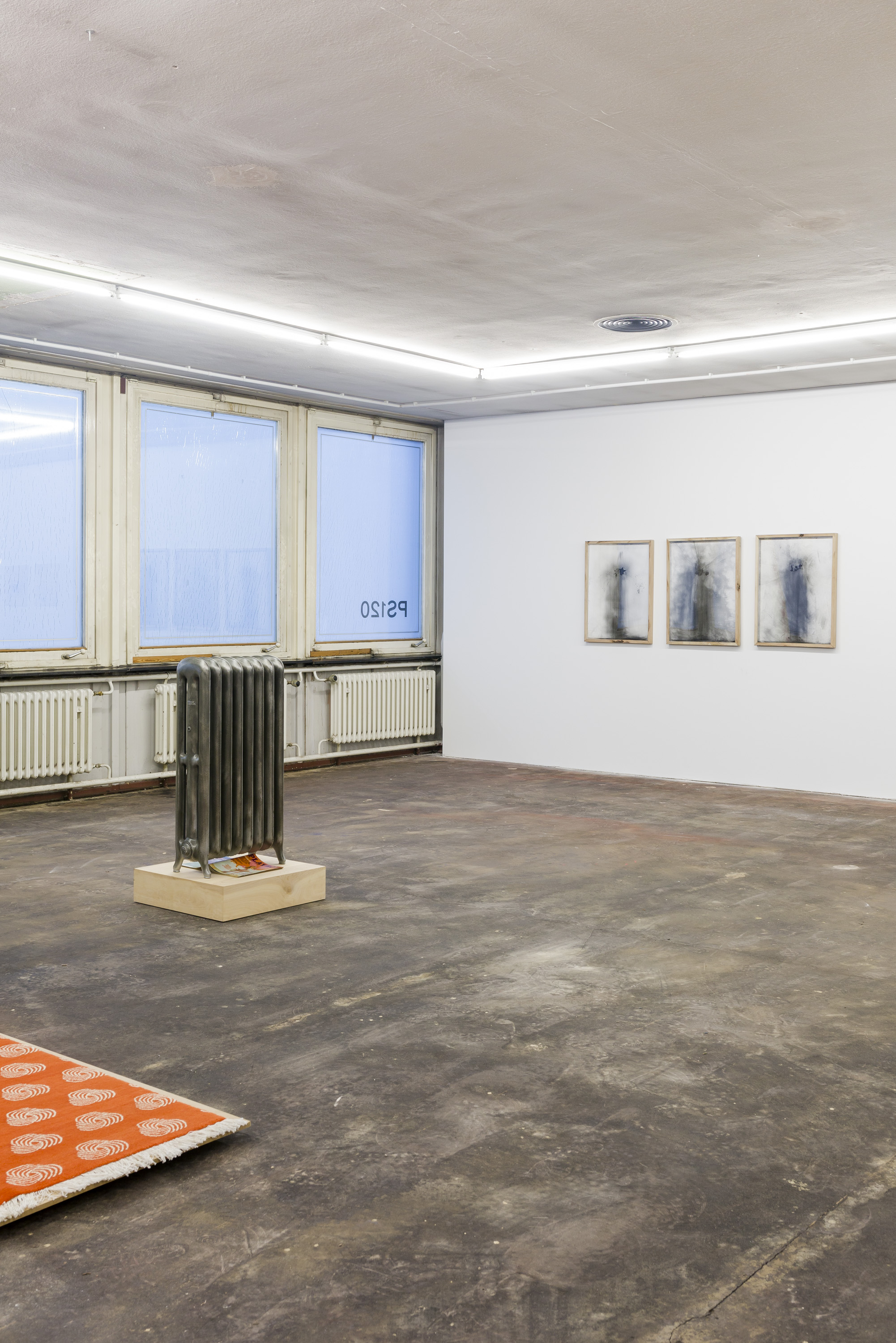 Strange Blooms : 1092.7 to Berlin (TP, HC, M), 2018 (Installation view)