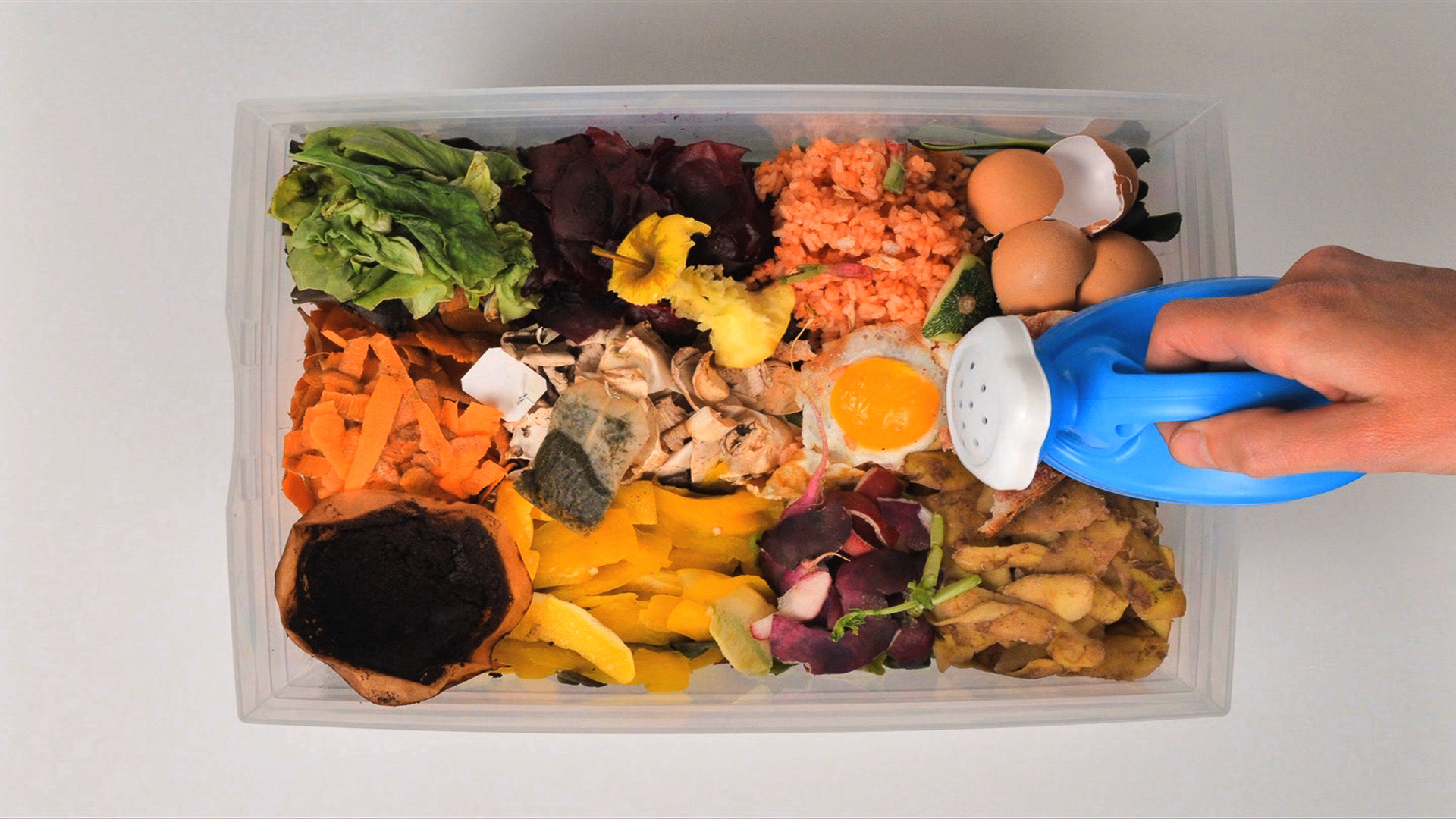 Le film "Illustration : compostage"