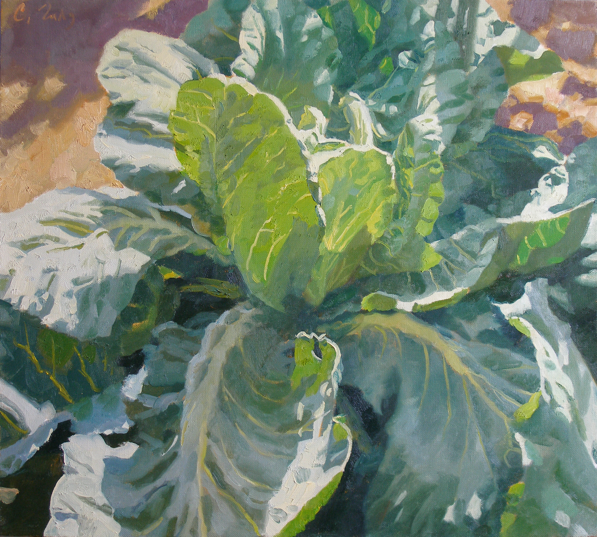 "Large cabbage", 2010, oil on canvas, 90 × 100 cm
