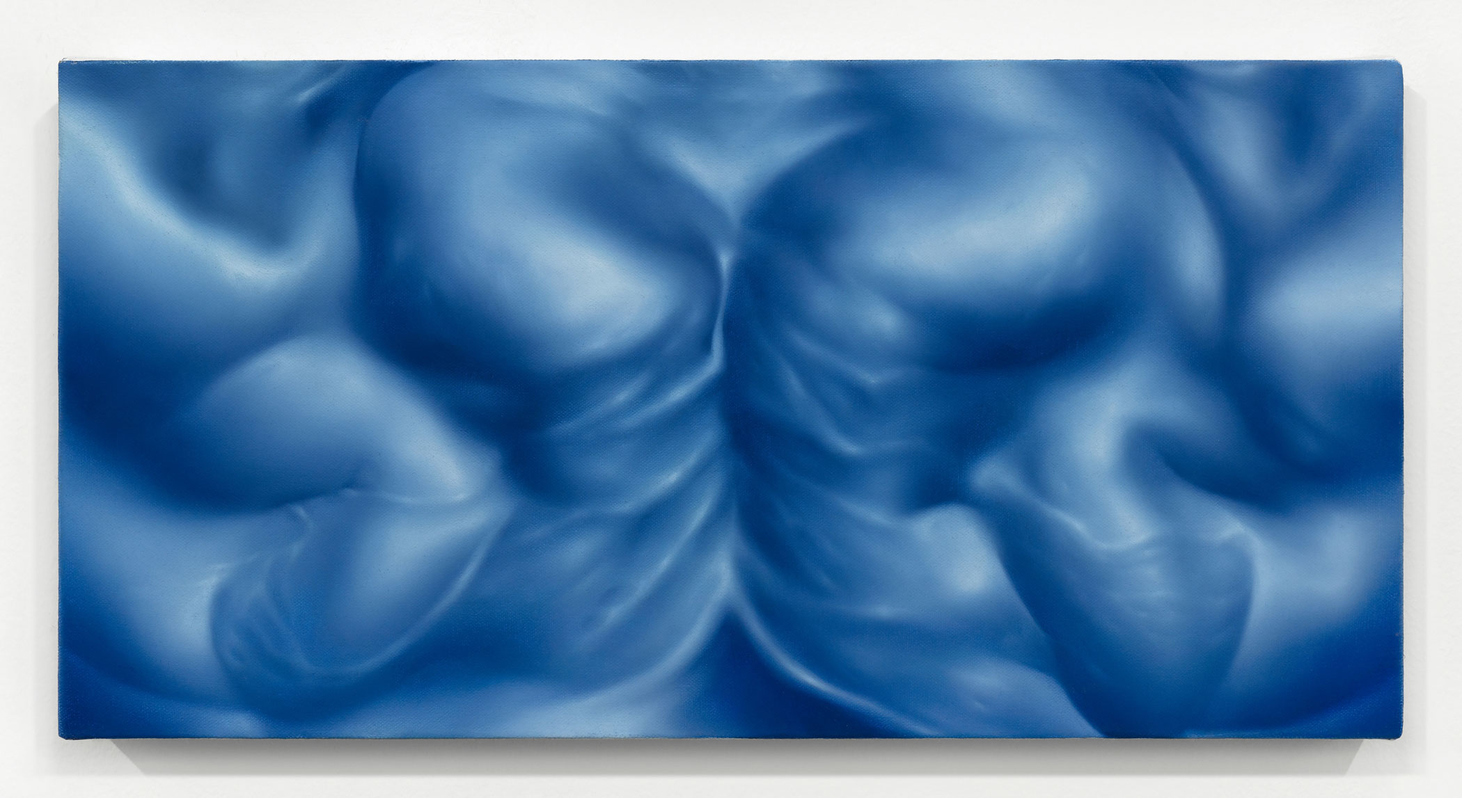 Mariposa (2024), oil on canvas, 10x20"