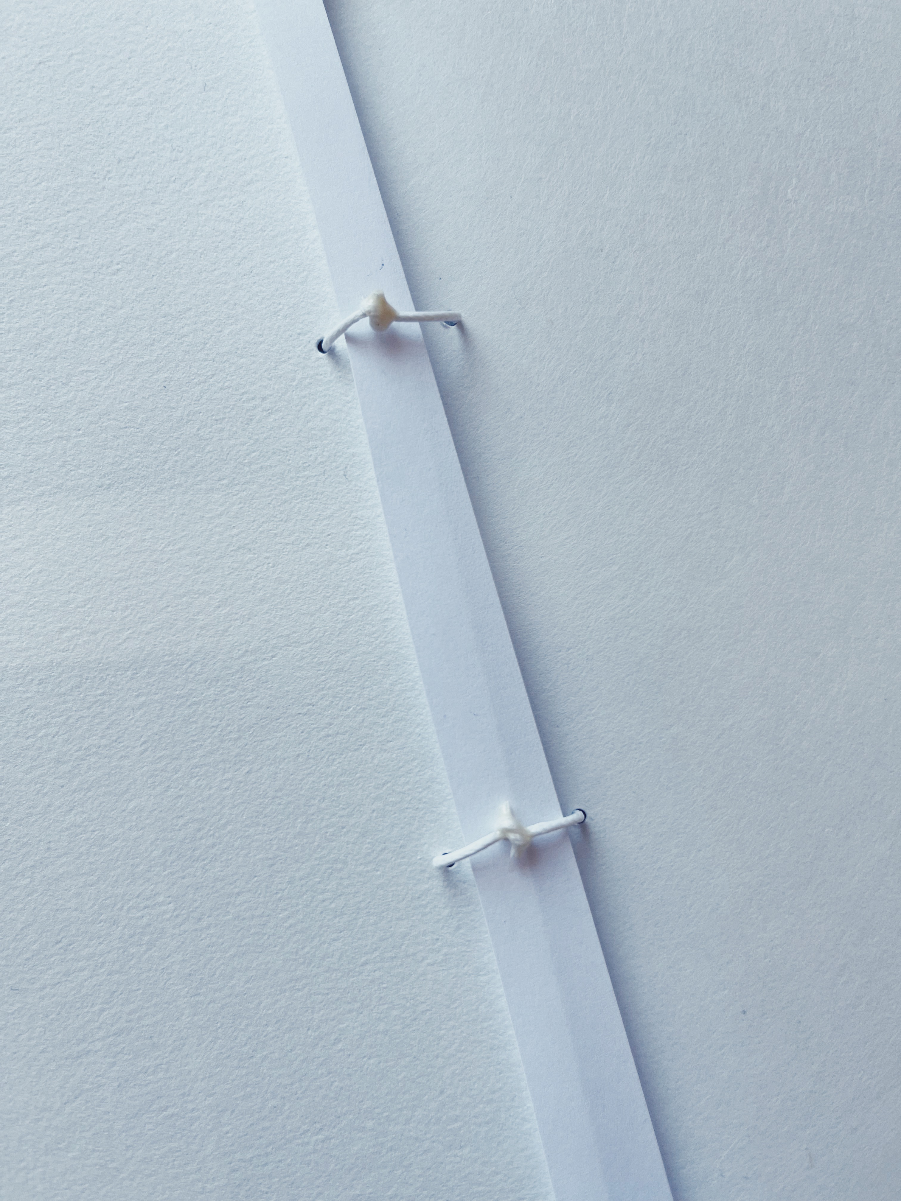 Paper surgery  Zurich 2024