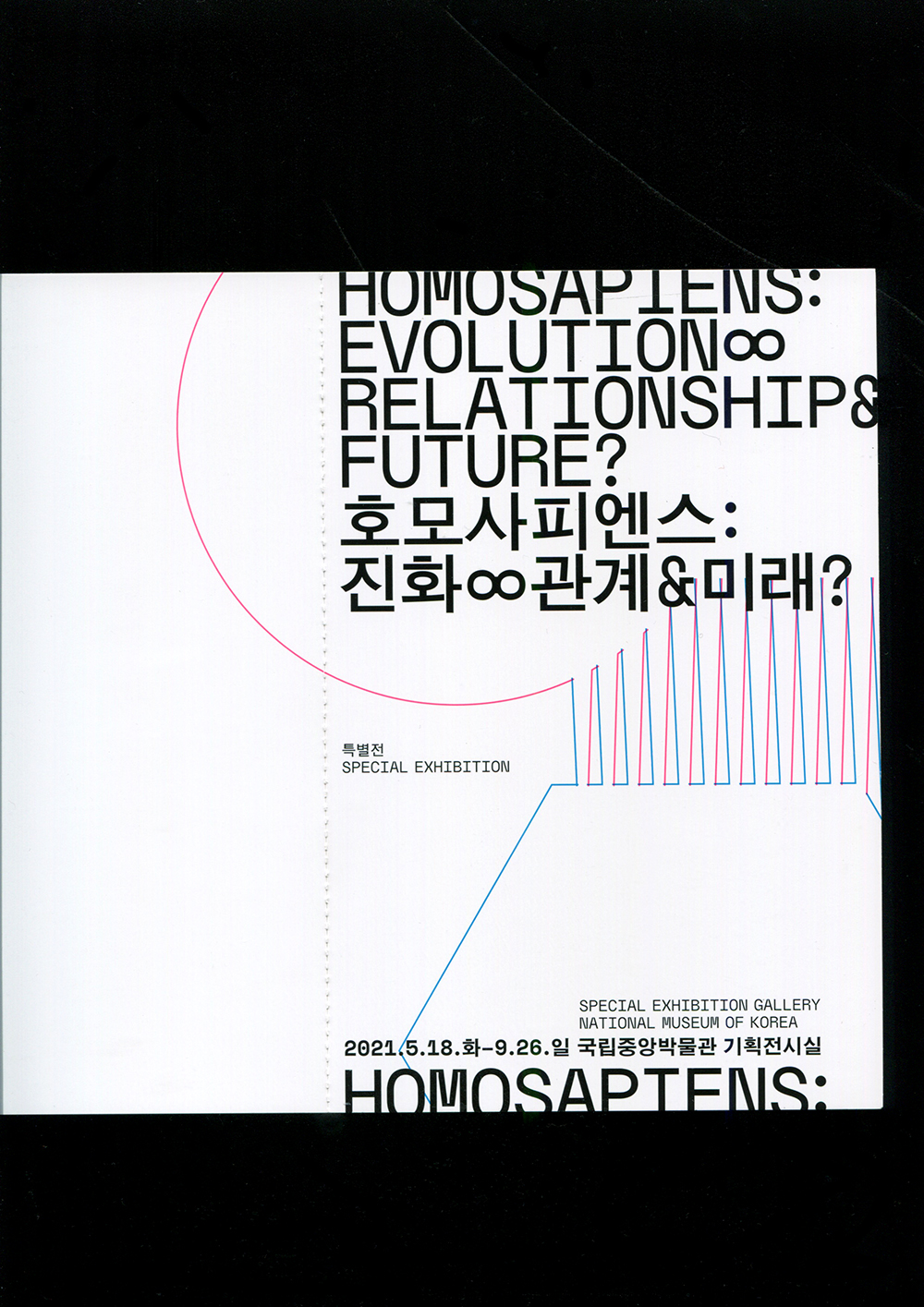 homosapiens: evolution∞ relationship& future? — generalgraphics