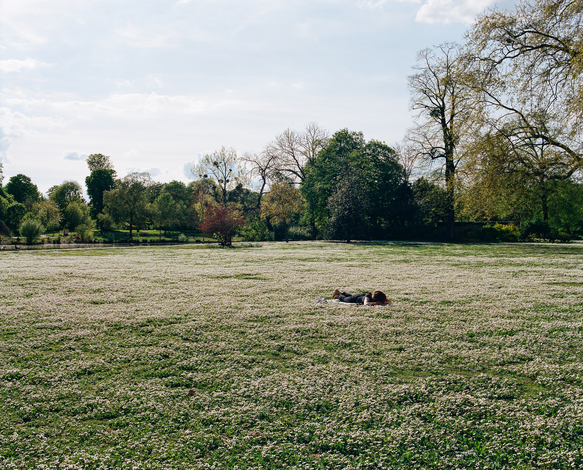L. profite du soleil de mai au lac Daumesnil