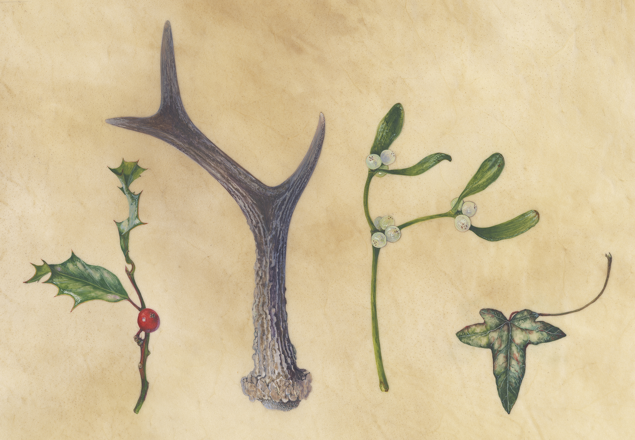 Antler and winter objects