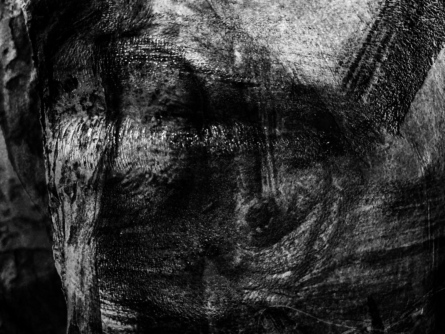 Lip series, Digital Image, 150 x 100 cm