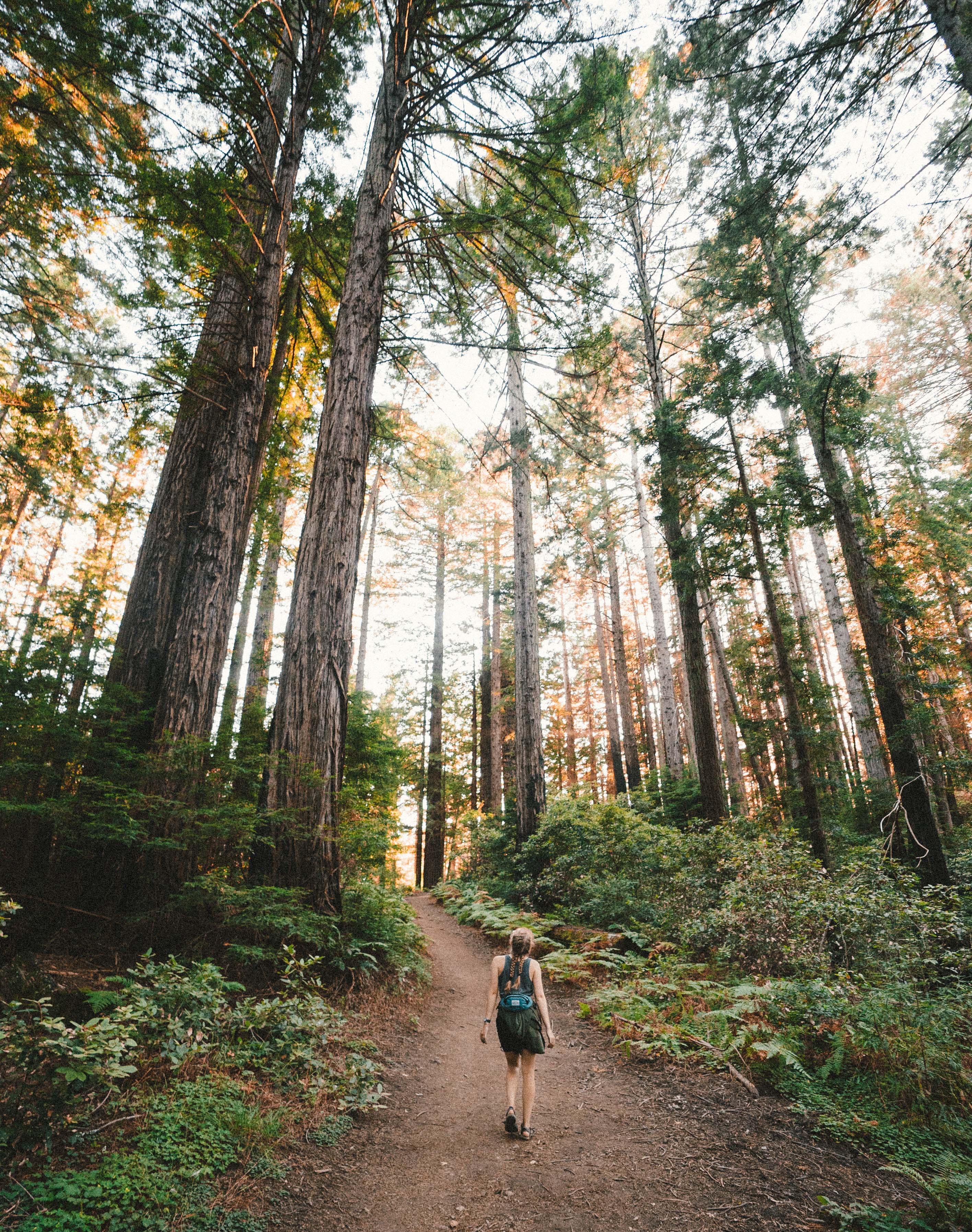unsplash: kevin wolf