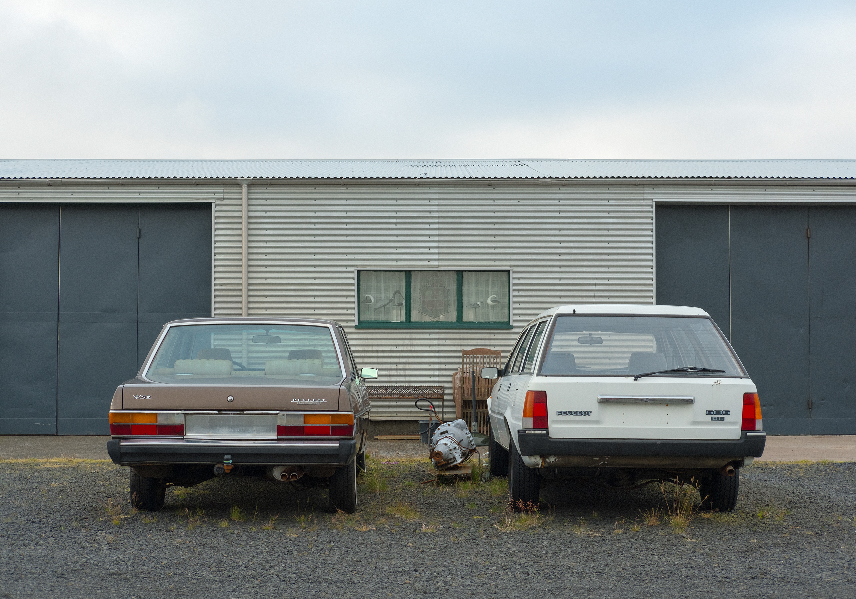 Domingo Nardulli TIFF