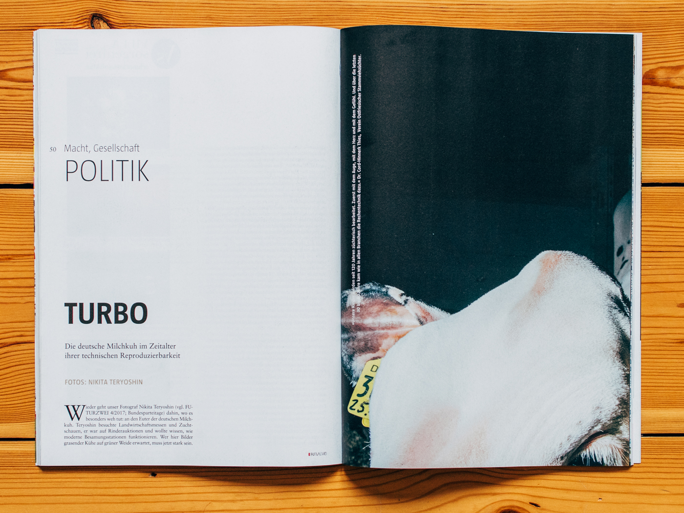 FuturZwei / Hornless Heritage / Dezember 2018