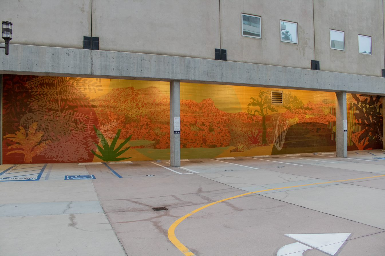  Ocotillo Sunset Installation photograph, New Childrens Museum, San Diego 