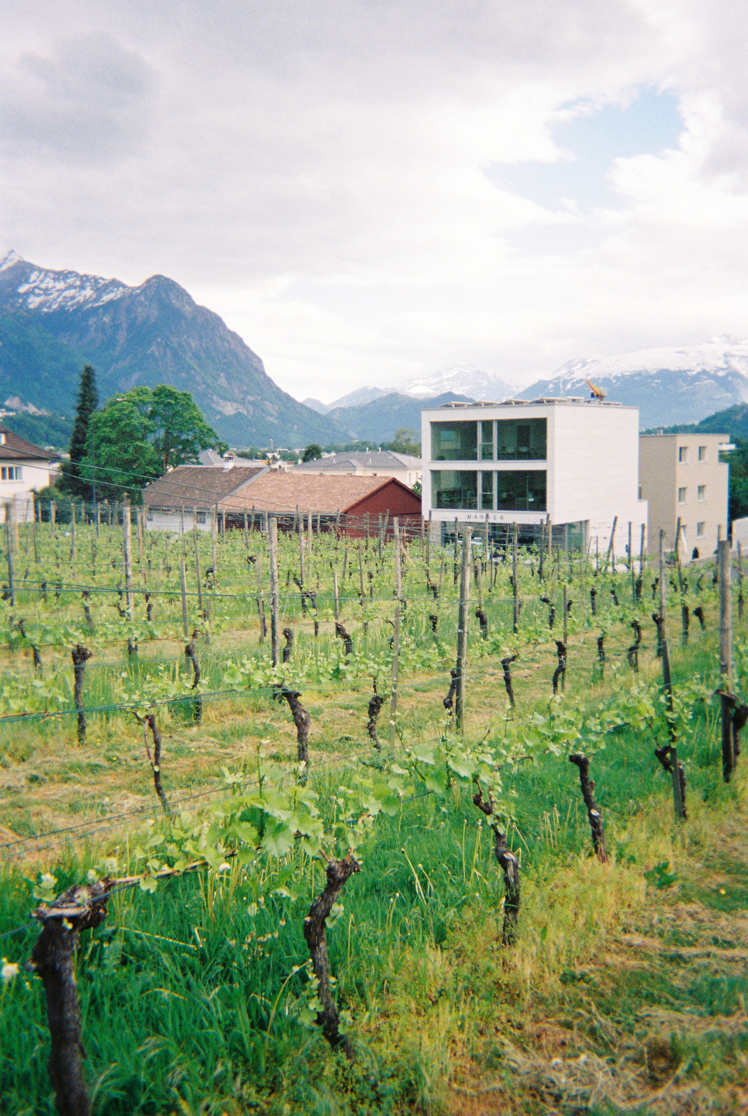 Photographs taken while walking on THE LINE in Liechtenstein by Studio Venice