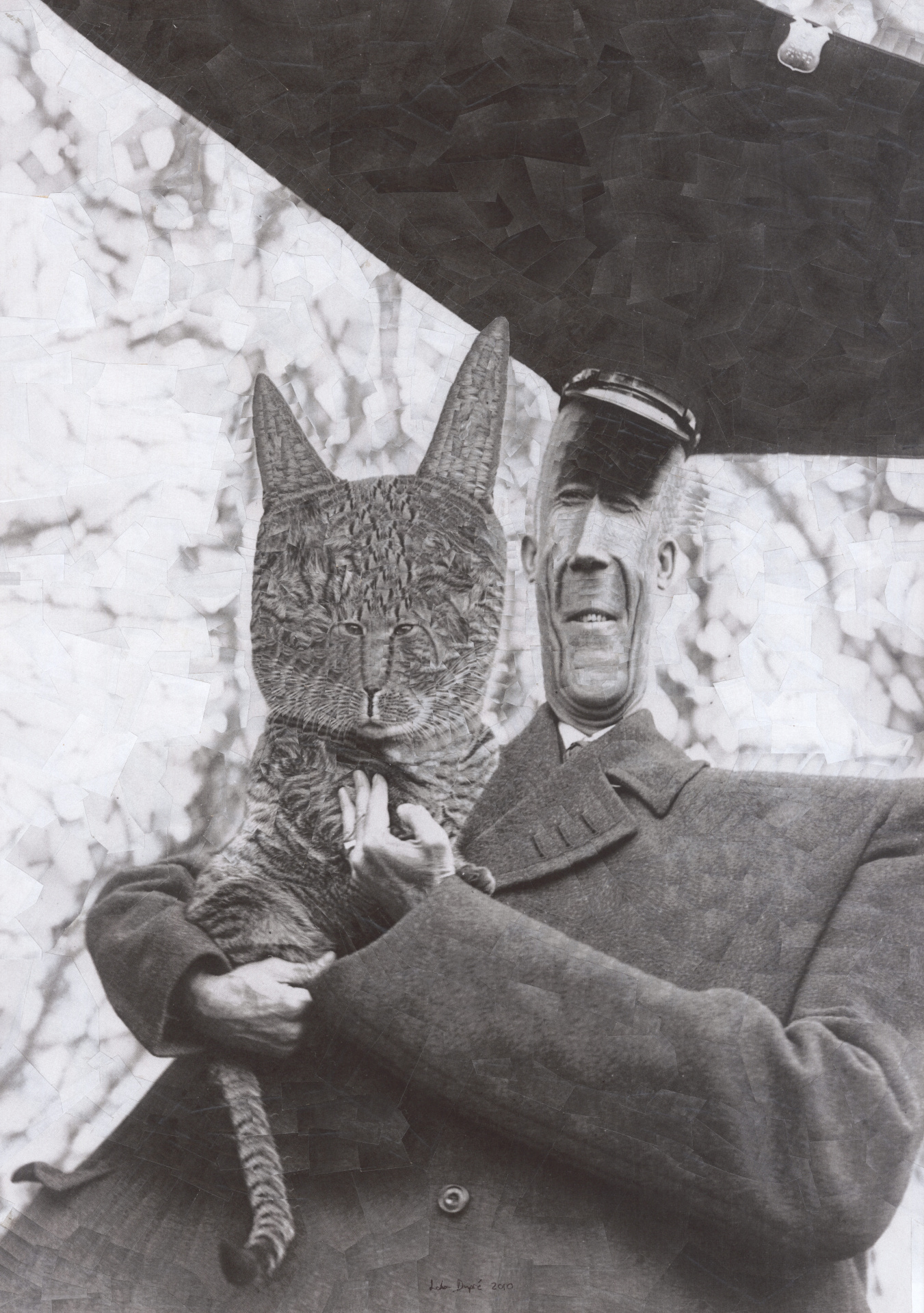 Cat in the White House, 2010, 11.6 x 16.5 inches