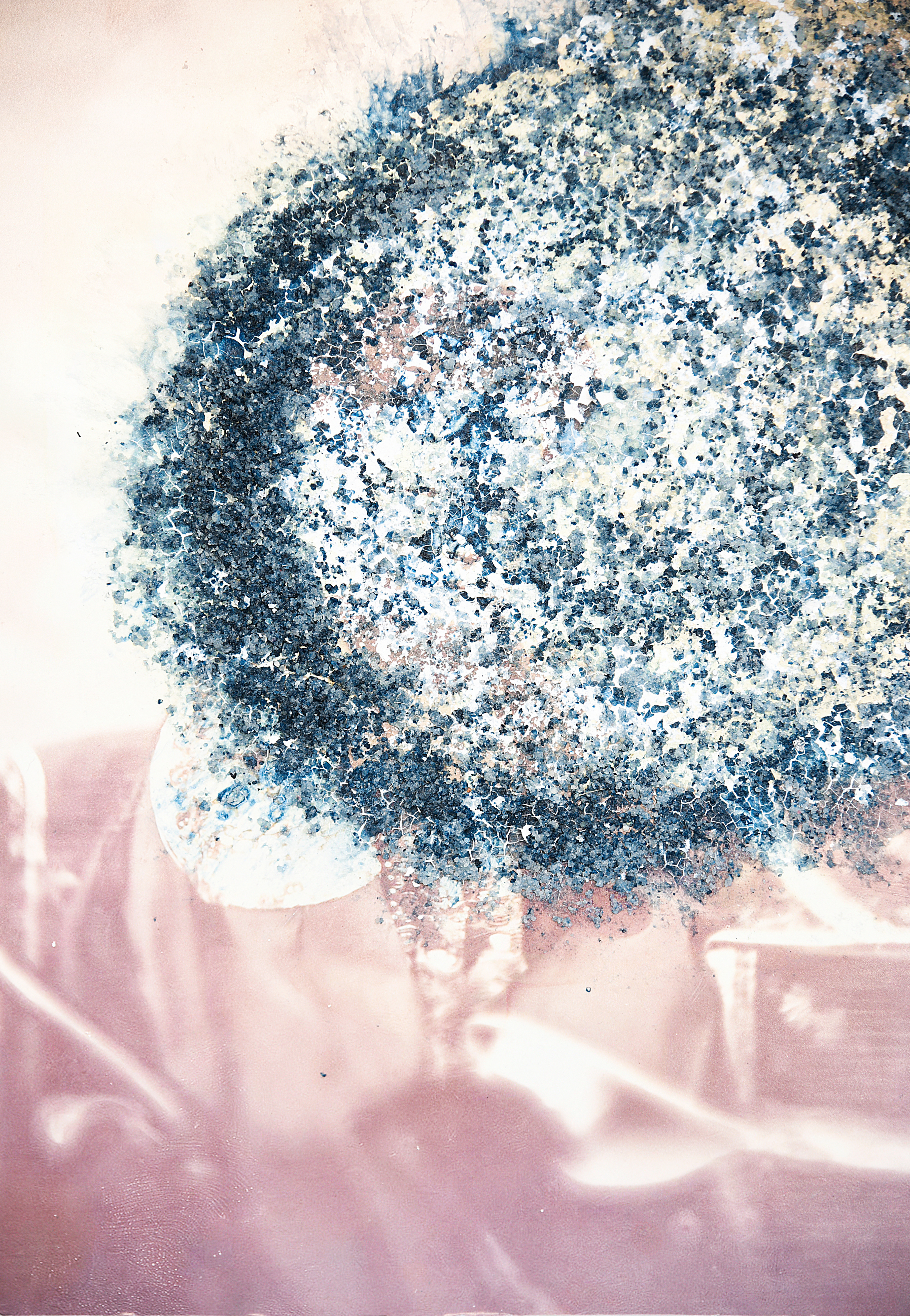 The Grand Prince of the Qing Dynasty Frightened by a British Diplomat’s Camera. Photograph of Image Overpainted with Rice and Ink. 29.7*42 cm. 2023
