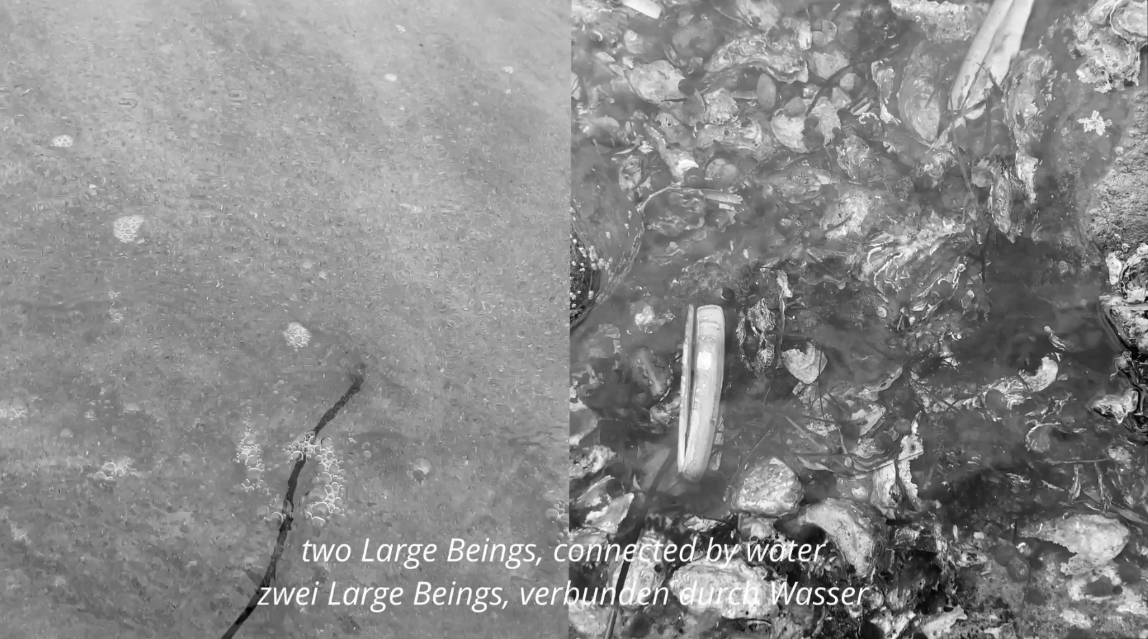 THE LARGE BEINGS @ Zwitschermaschine [2023]