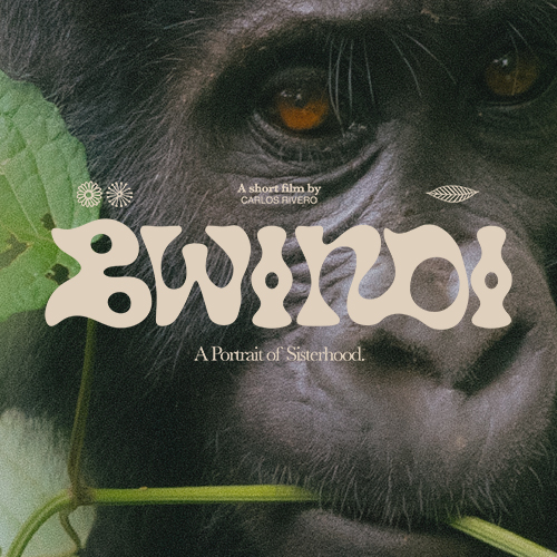 Bwindi