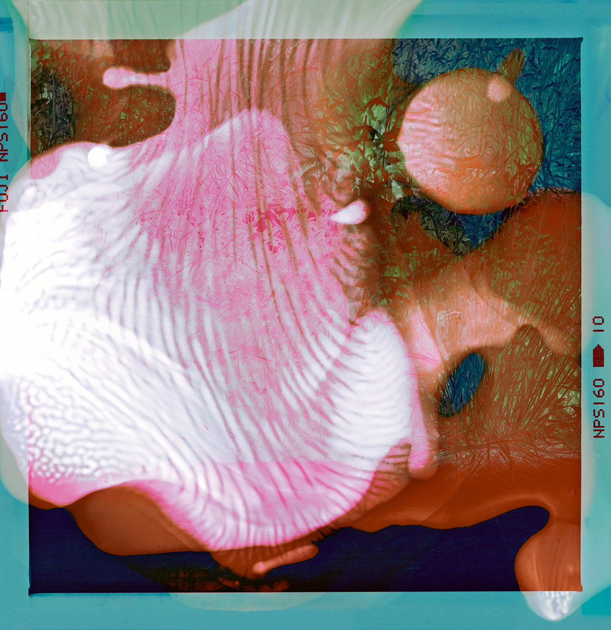 Brush Park (III), 2021