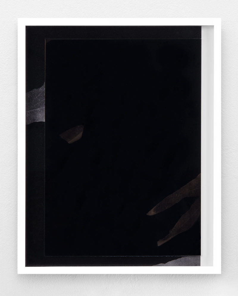 Micah Danges, 2 Parts (Section 4, Section 1). Silver Gelatin Photographs, Acrylic, 2015