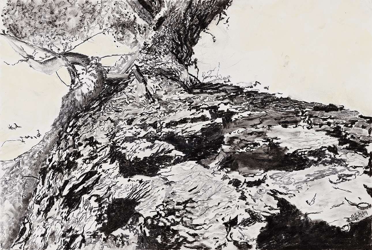 Alain Goetschy, La sieste sous le pin à Ventabren, 2014, pastel sec, 93 x 128 cm, crédit photo JC Lett