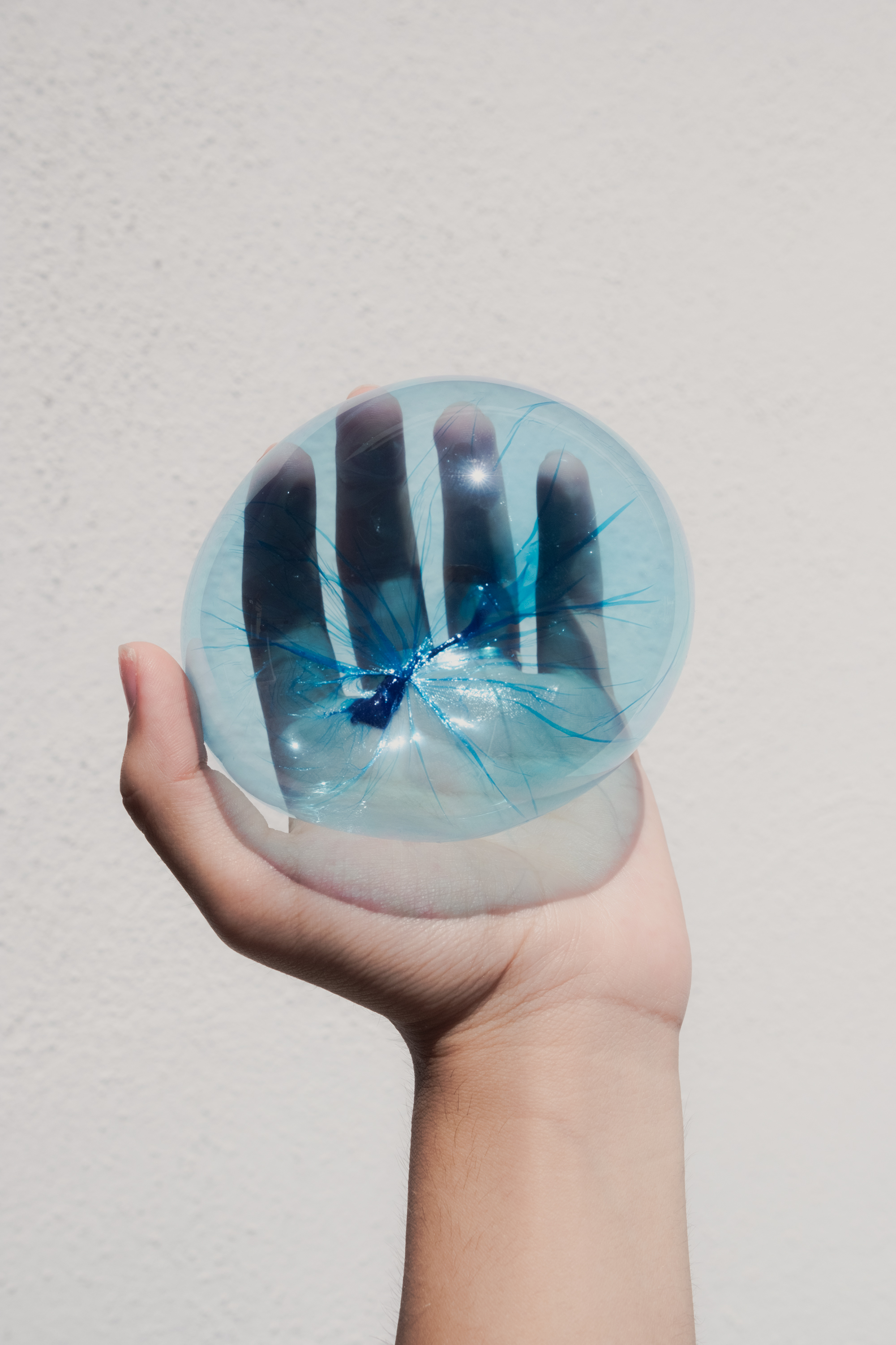 Grace Martella, Pars Basalis, 2024, Stampa inkjet, cm 50x30
