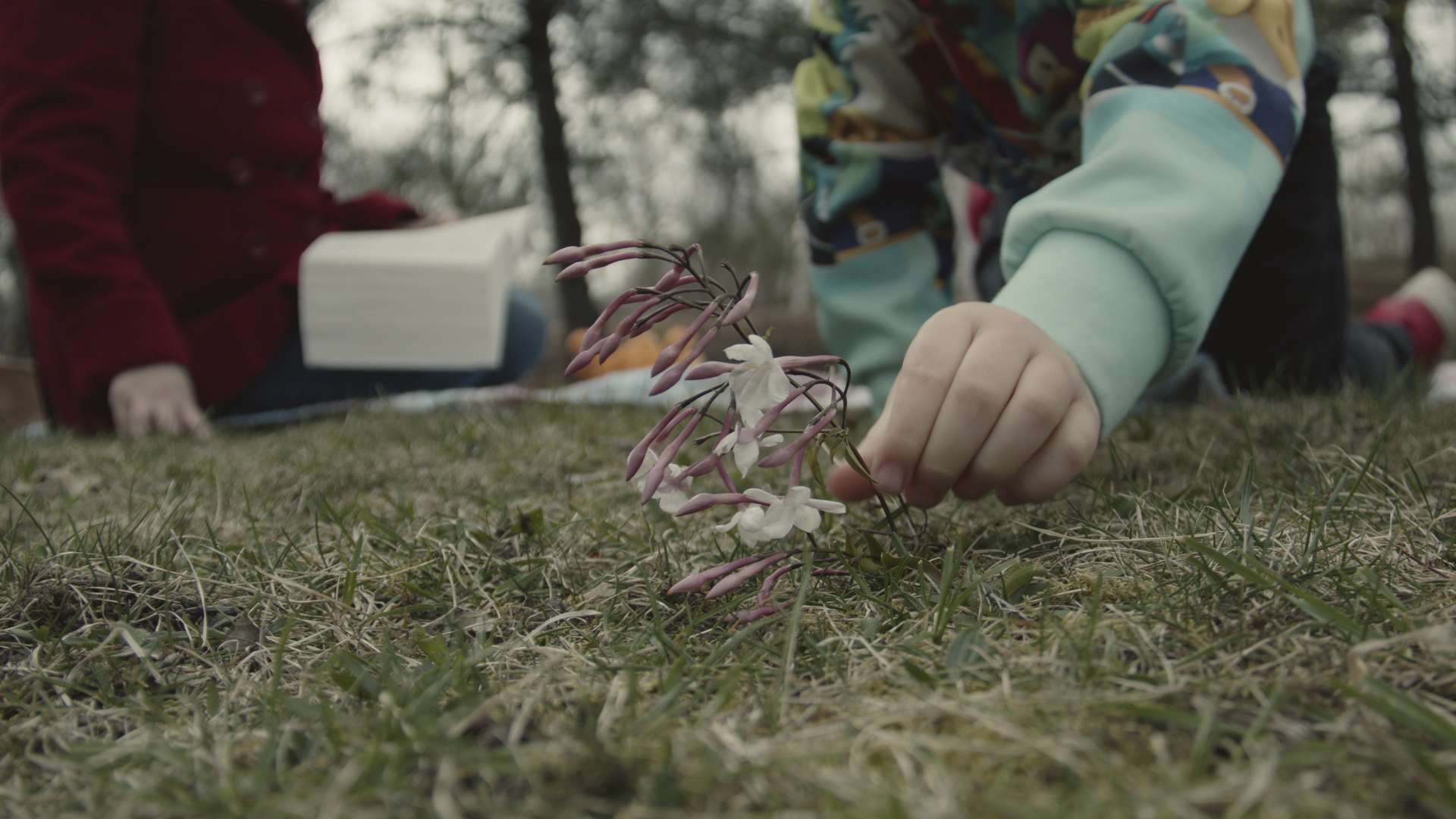 The Bureau of Collective Memory: A Restoration of Things Lost in the Censored Mist