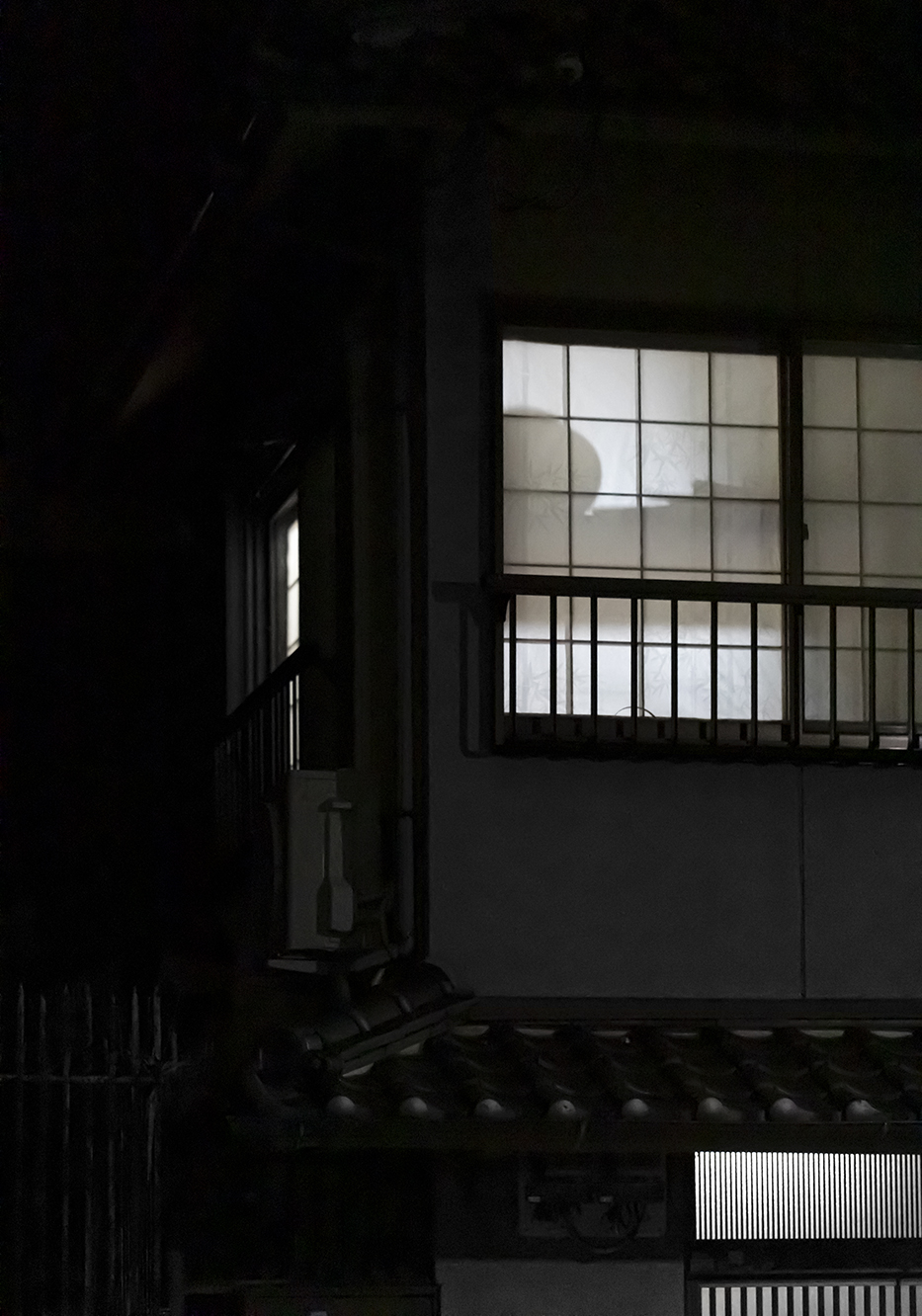 PHOTOGRAPHY RAF STUDIO  VILLA KUJOYAMA KYOTO ART CENTER SYNCHRONICITY EXHIBITION