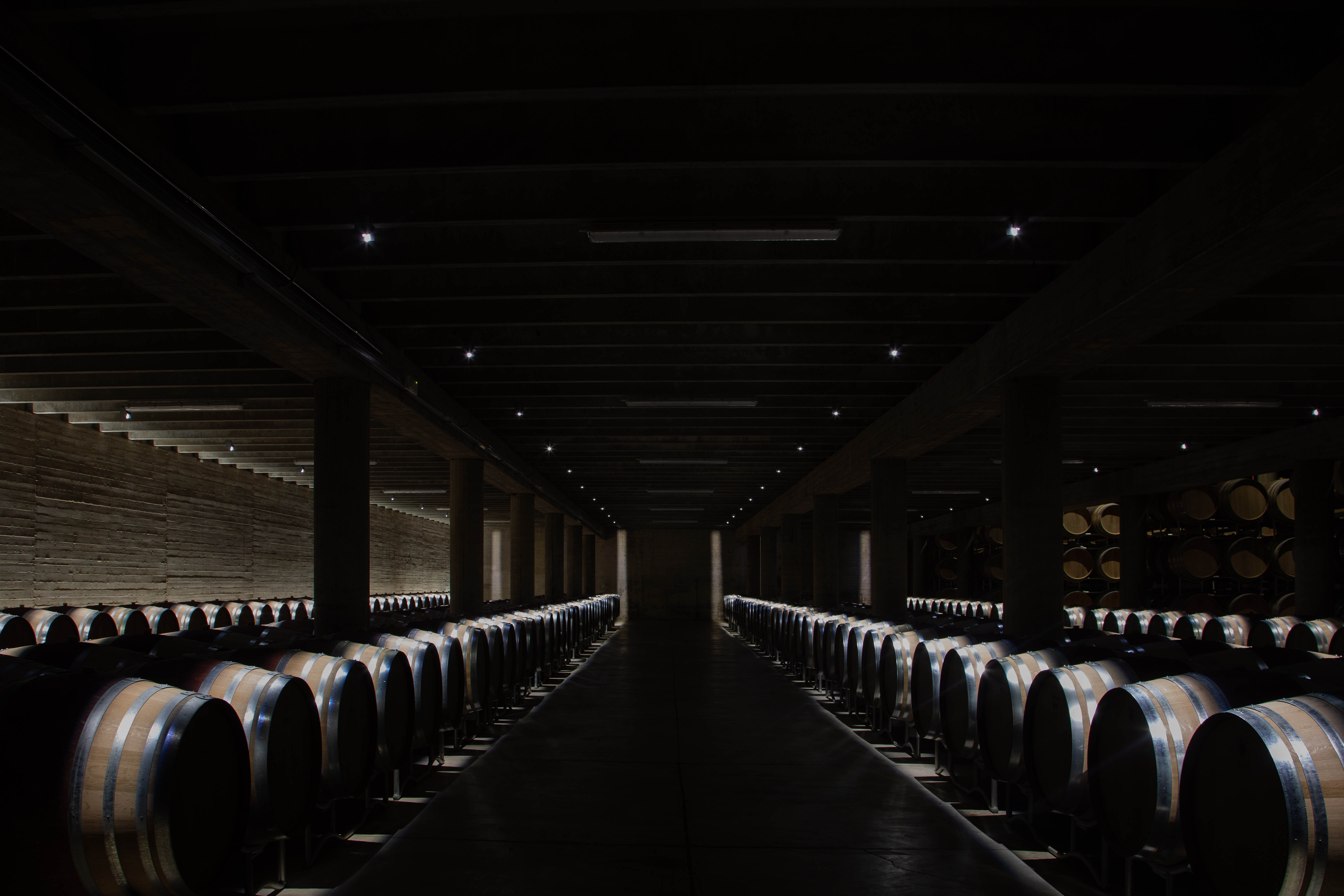 Cantina Barone Ricasoli 2022, Gaiole in Chianti, Siena
