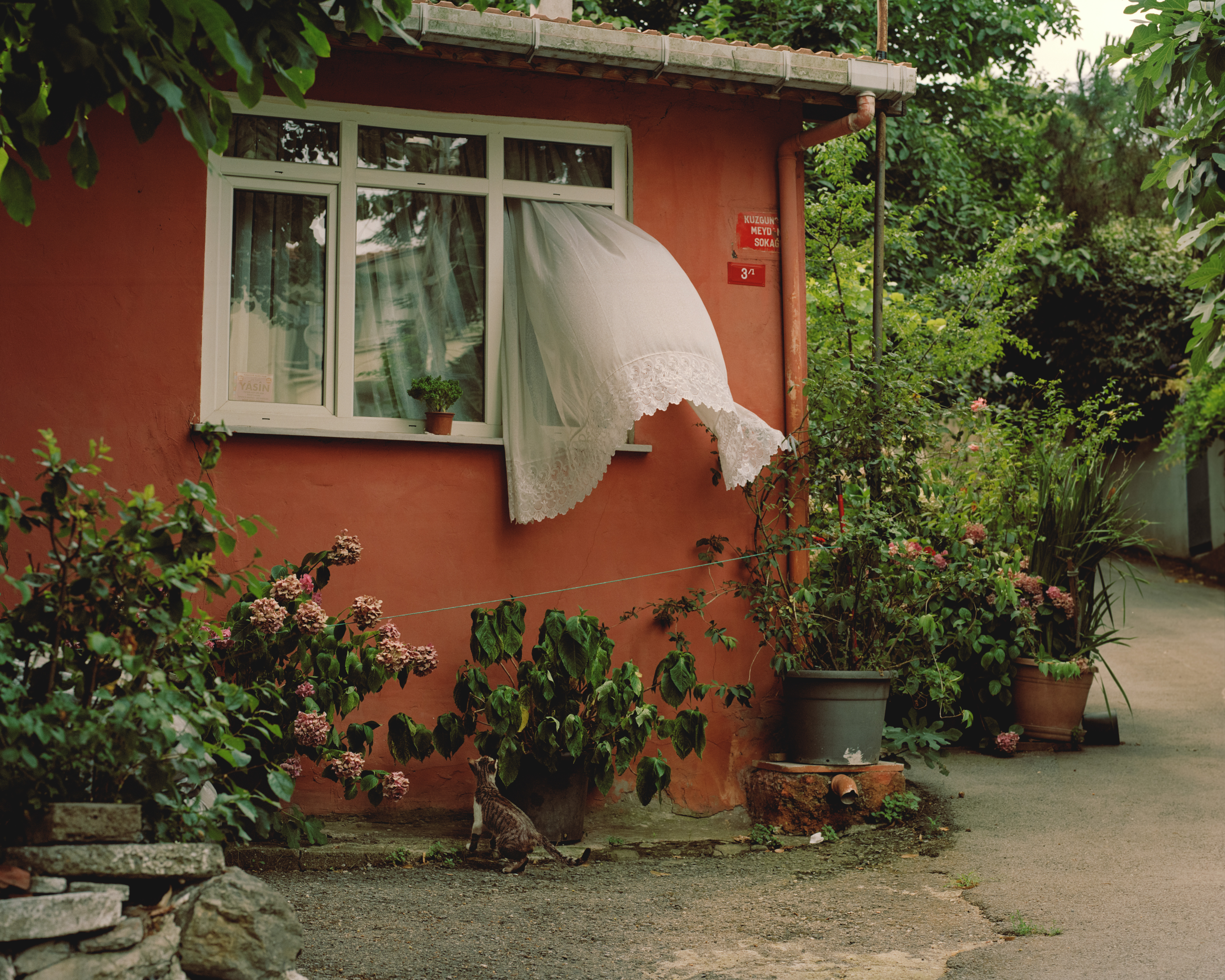 Backyard  in Üsküdar neighborhood. Istanbul, Turkey