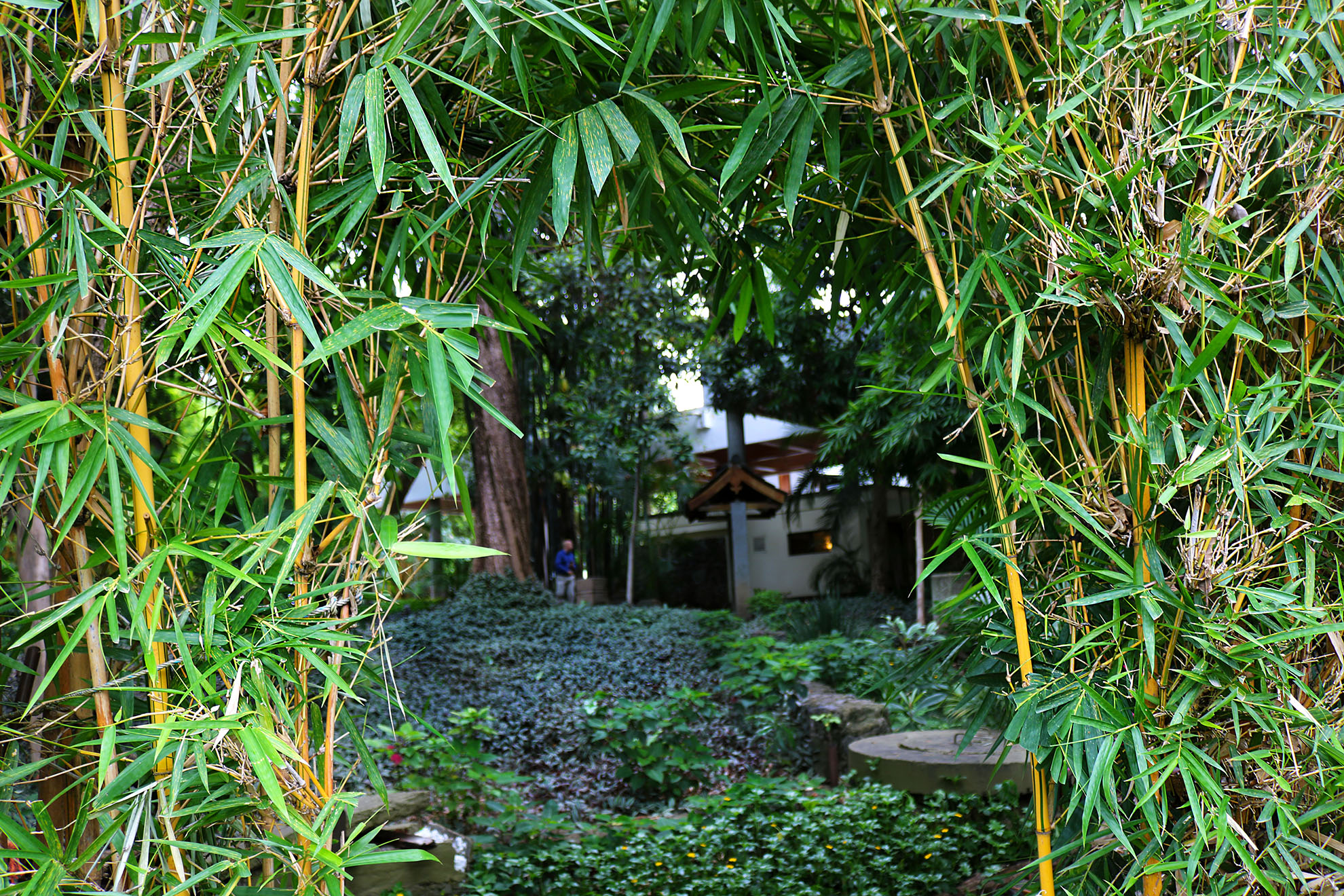 Gardens