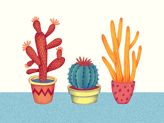 Cactus — Jessica HJ Lee